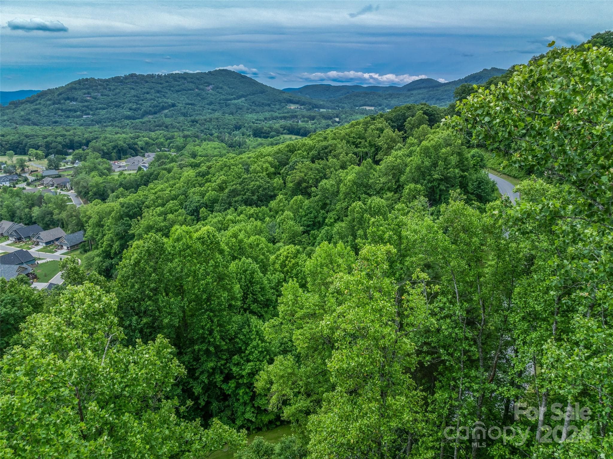 Lot at 99999 Cliffsridge Parkway, Arden, photo 7 of 23
