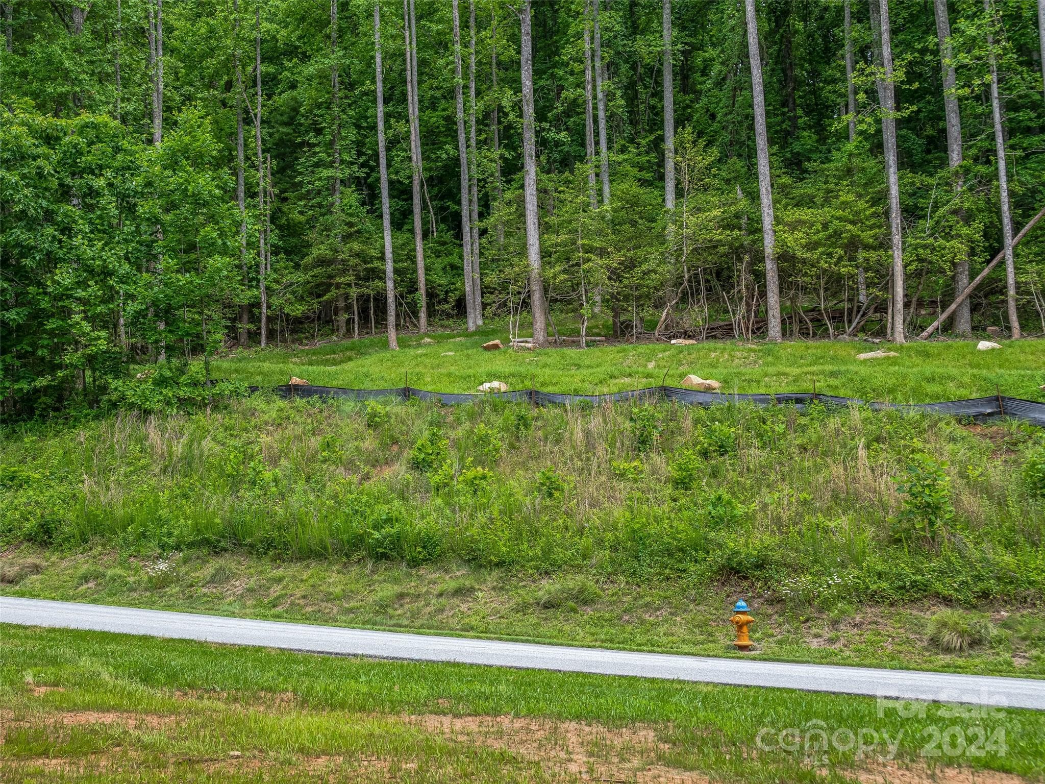 Lot at 99999 Cliffsridge Parkway, Arden, photo 9 of 23
