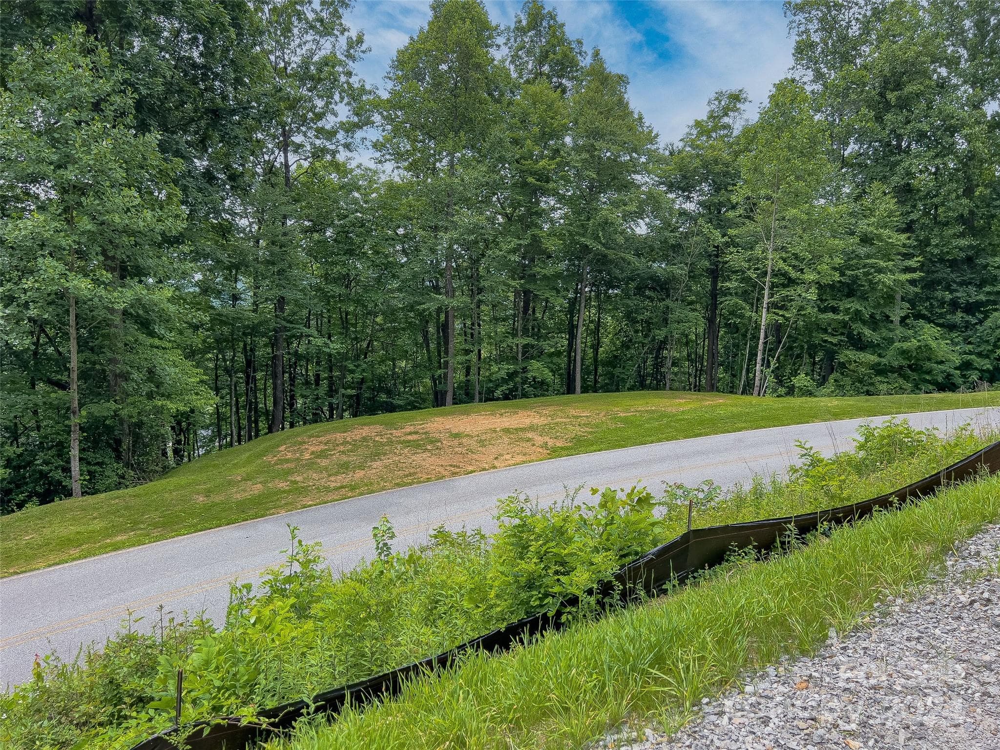 Lot at 99999 Cliffsridge Parkway, Arden, photo 12 of 23