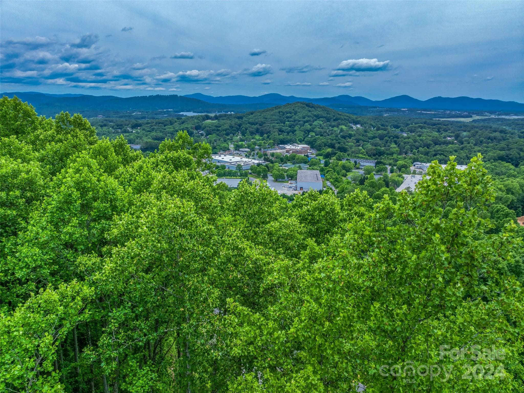 Lot at 99999 Cliffsridge Parkway, Arden, photo 13 of 23
