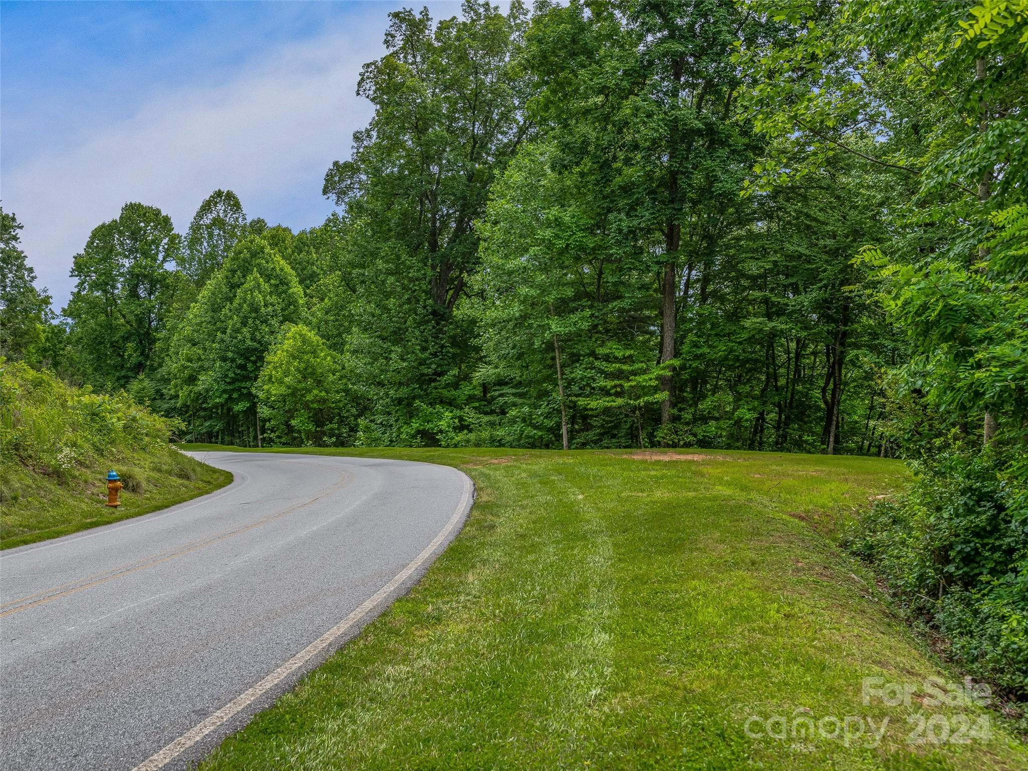 Lot at 99999 Cliffsridge Parkway, Arden, photo 19 of 23