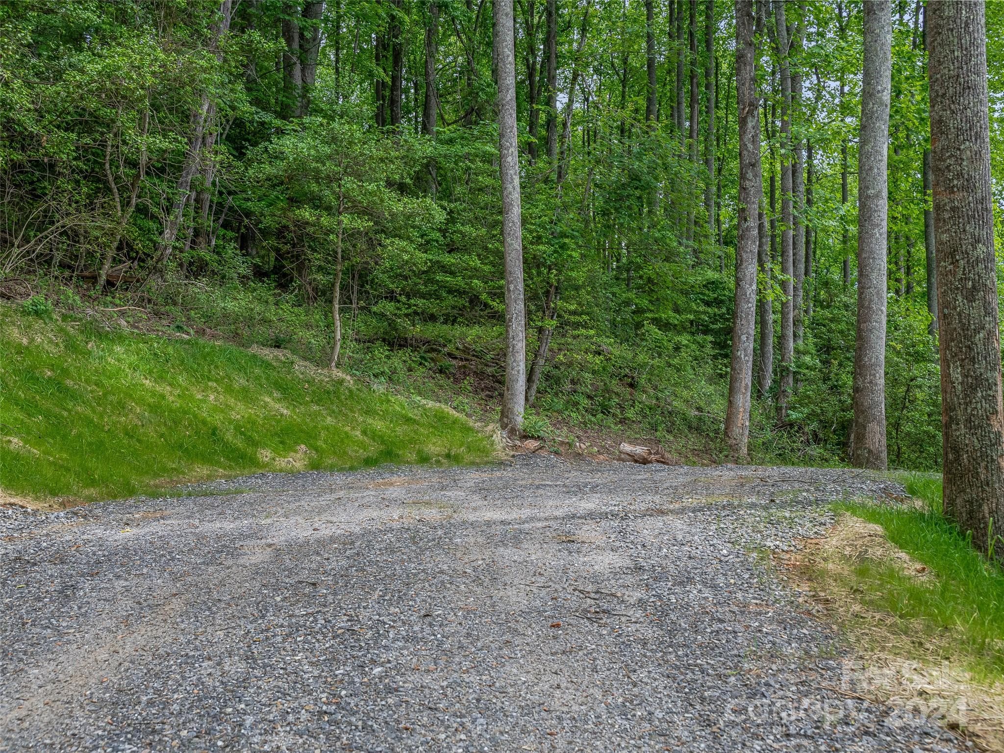 Lot at 99999 Cliffsridge Parkway, Arden, photo 20 of 23