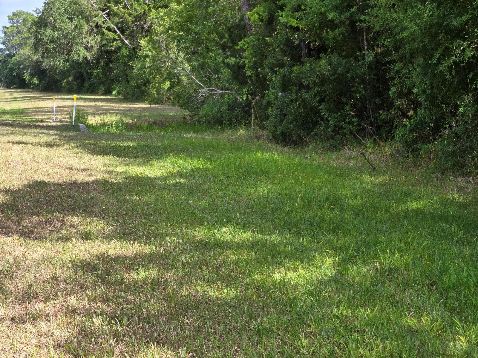 Land at 1925 CR-13, BUNNELL, photo 5 of 8