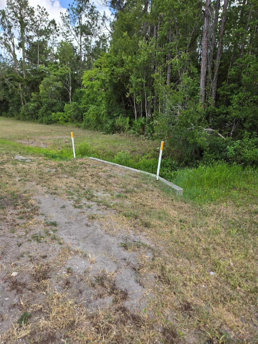 Land at 1925 CR-13, BUNNELL, photo 7 of 8