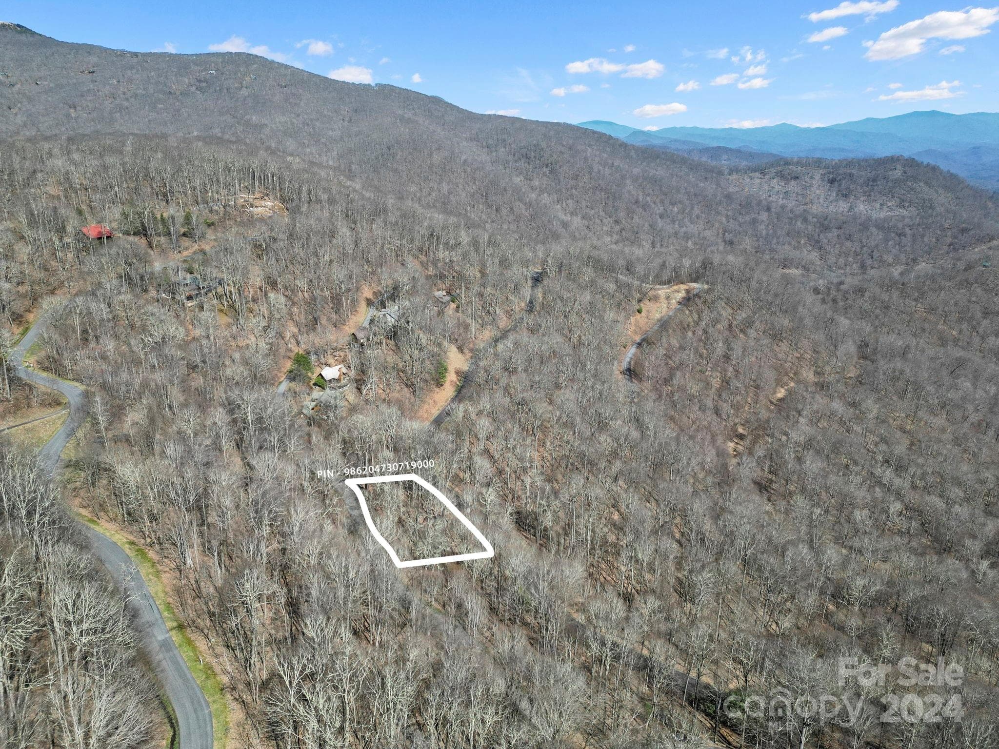 Lot at 10 Chestnut Village Lane, Mars Hill, photo 2 of 42