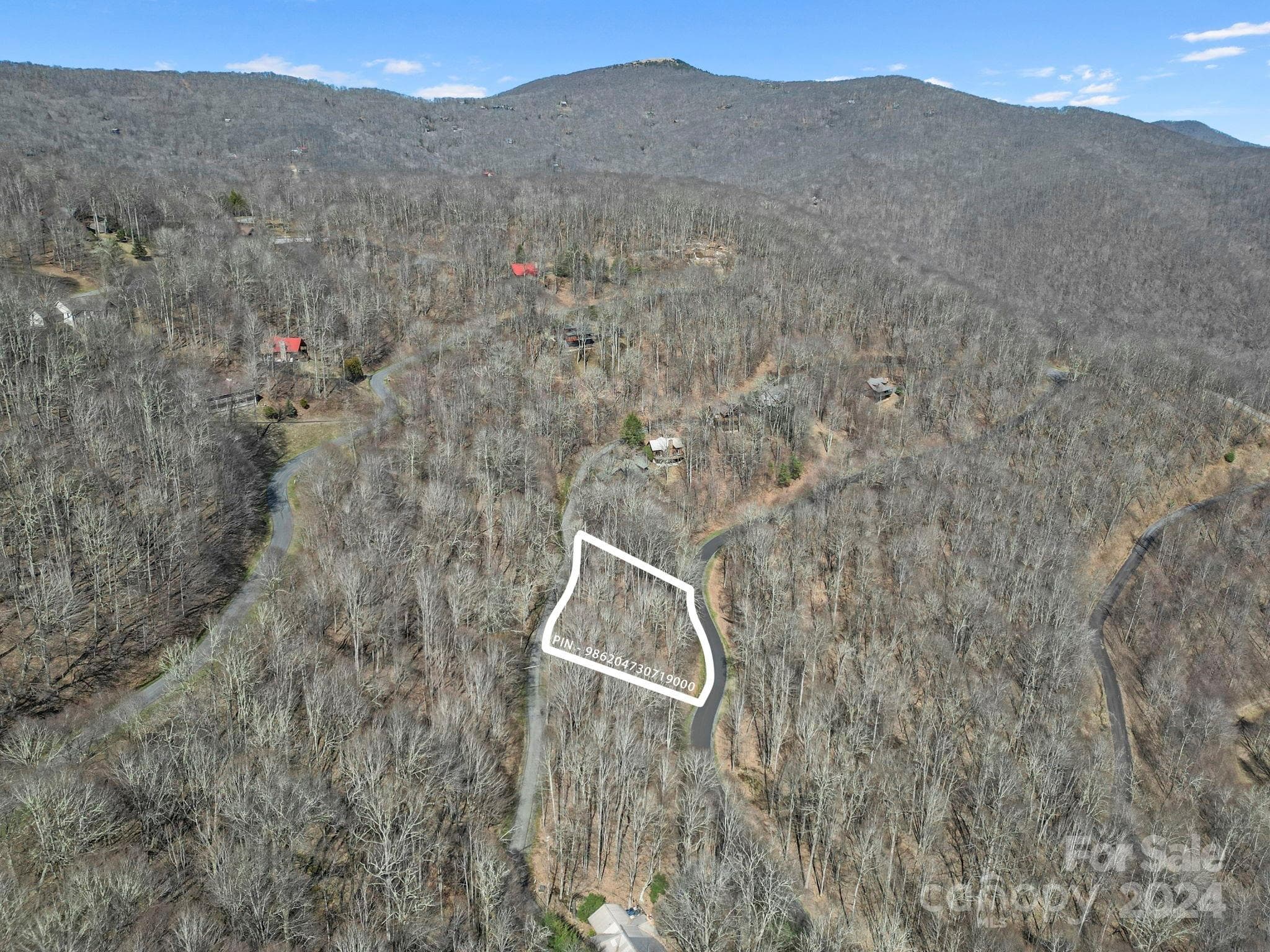 Lot at 10 Chestnut Village Lane, Mars Hill, photo 3 of 42