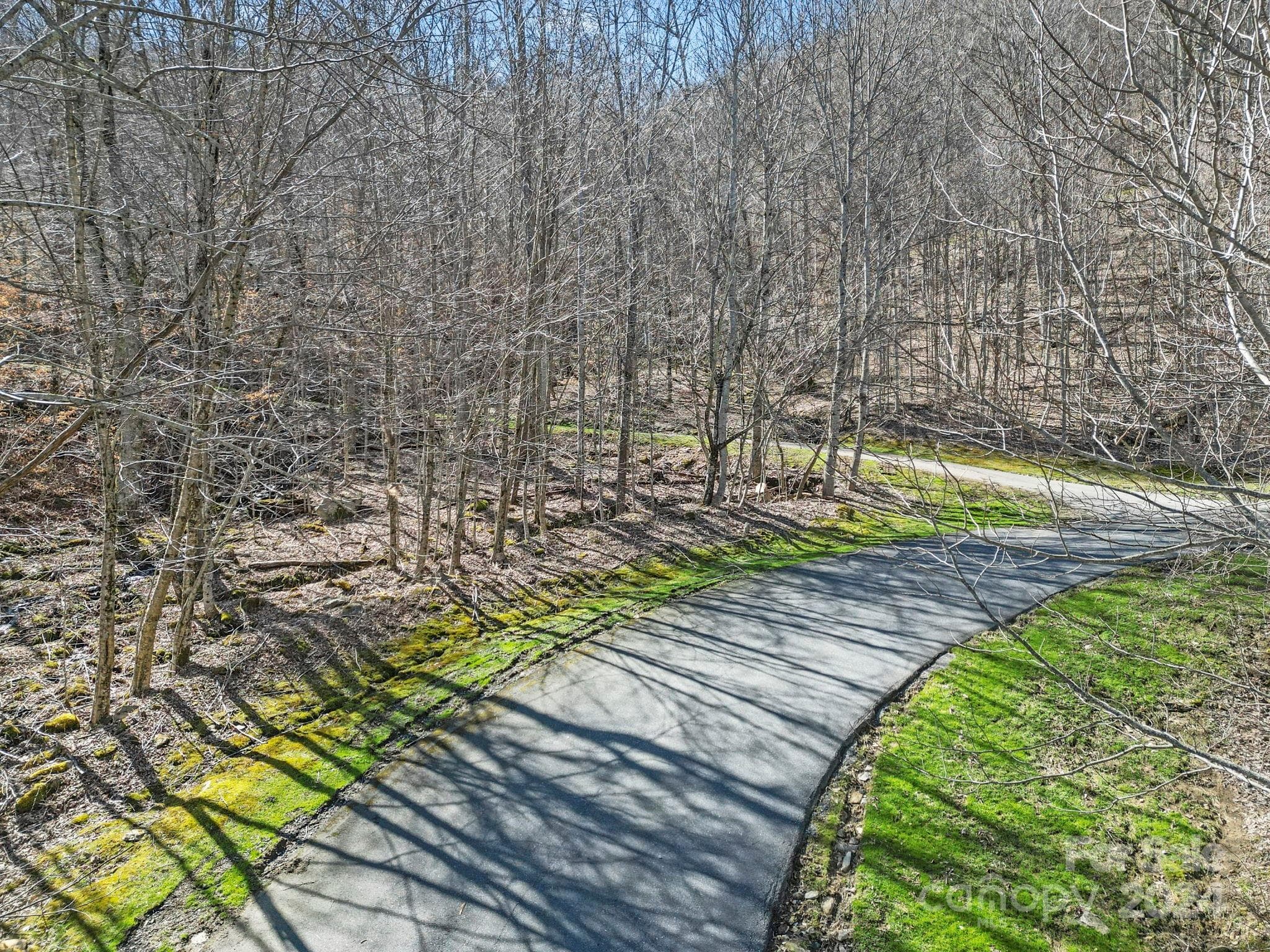 Lot at 10 Chestnut Village Lane, Mars Hill, photo 5 of 42