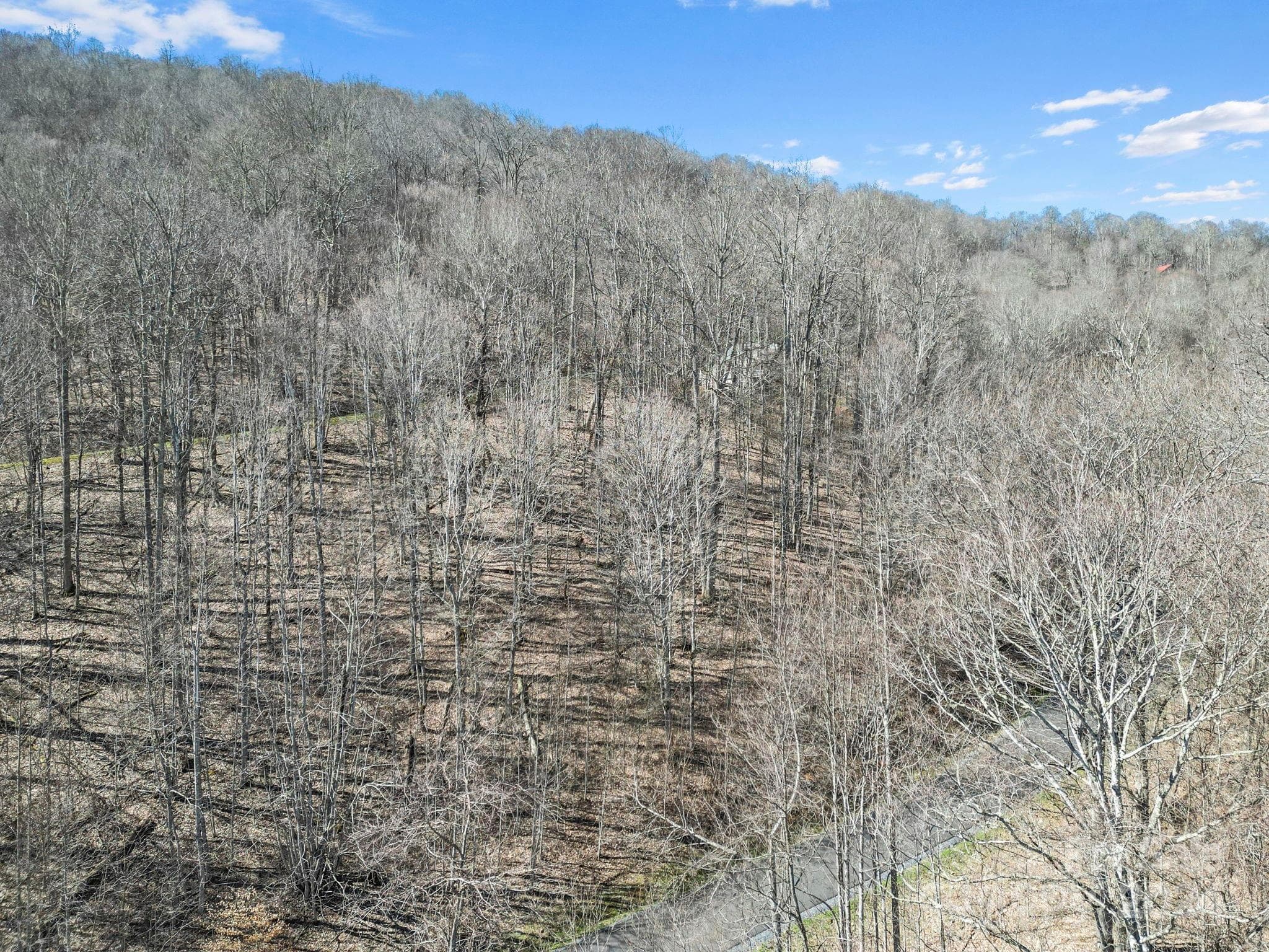 Lot at 10 Chestnut Village Lane, Mars Hill, photo 6 of 42