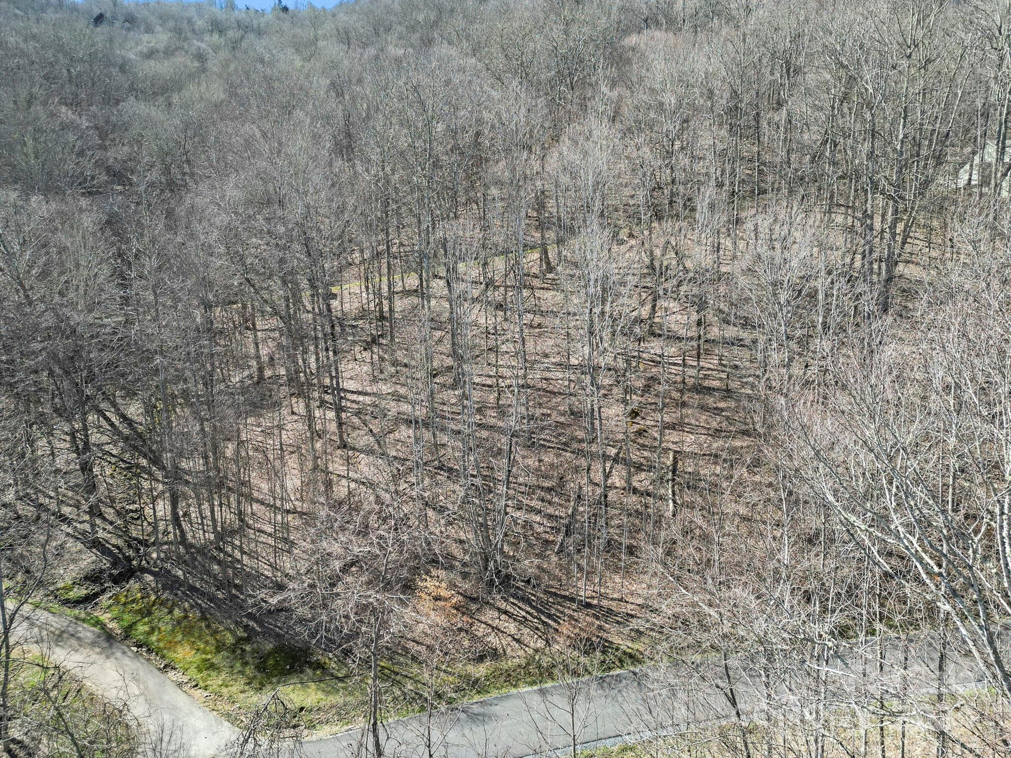 Lot at 10 Chestnut Village Lane, Mars Hill, photo 7 of 42