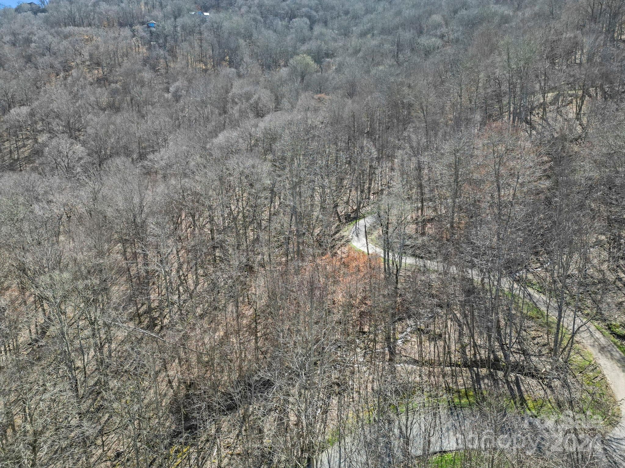 Lot at 10 Chestnut Village Lane, Mars Hill, photo 9 of 42