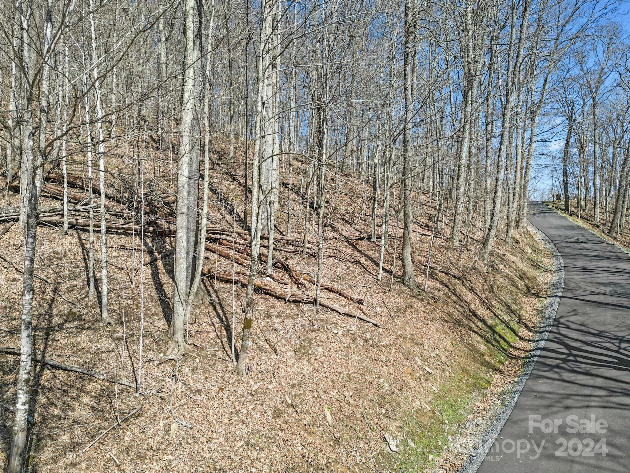 Lot at 10 Chestnut Village Lane, Mars Hill, photo 11 of 42