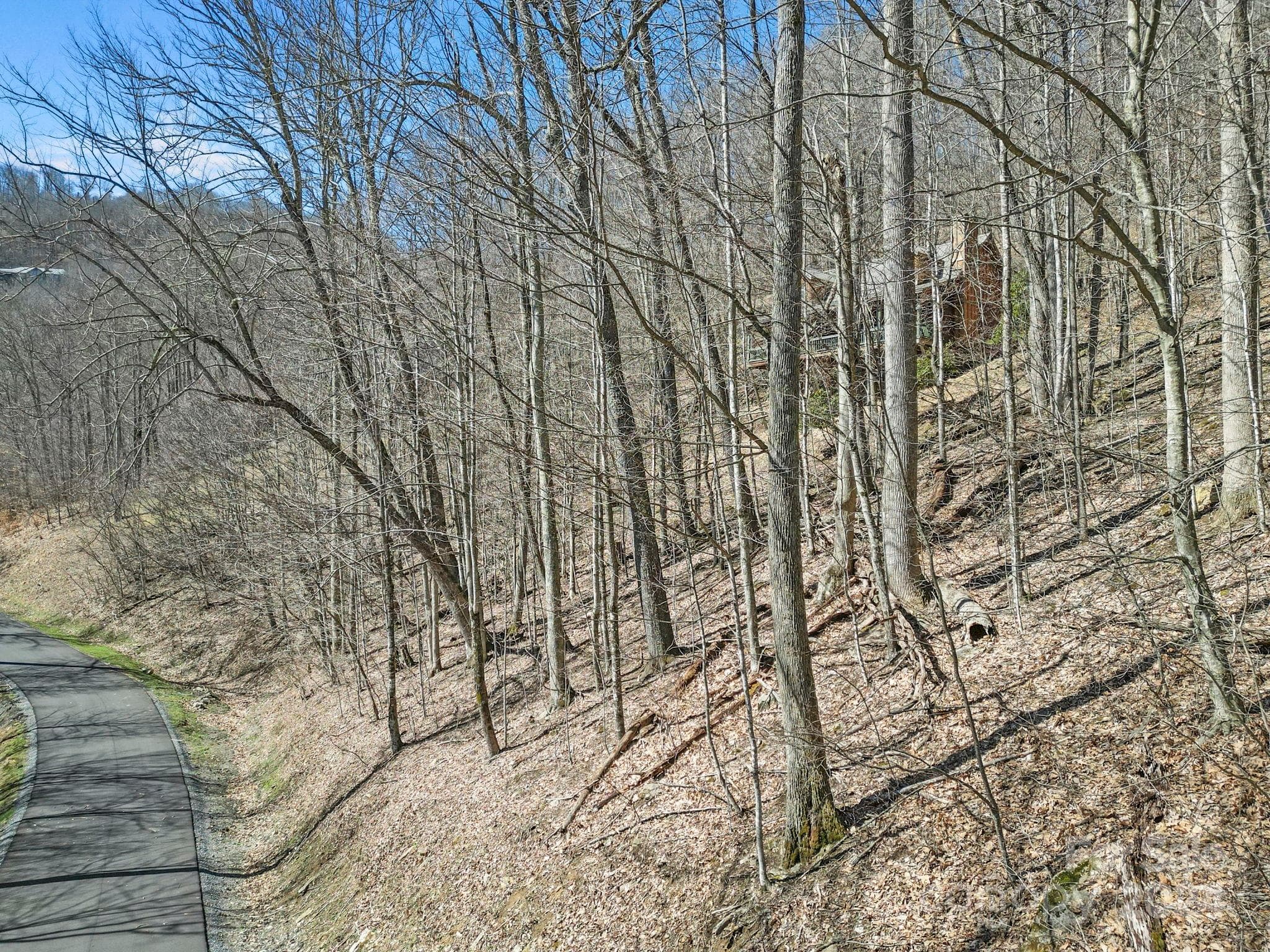 Lot at 10 Chestnut Village Lane, Mars Hill, photo 13 of 42