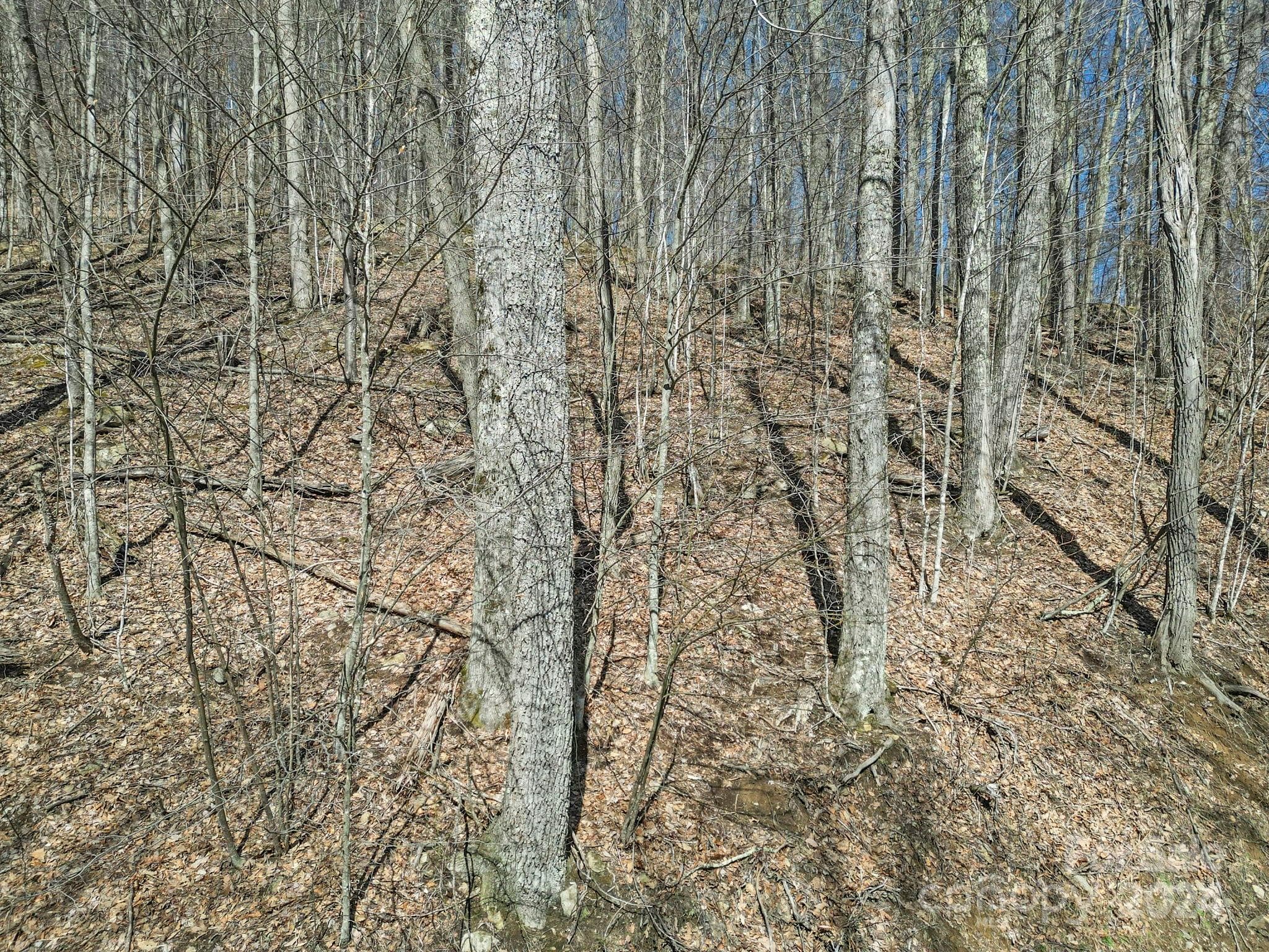 Lot at 10 Chestnut Village Lane, Mars Hill, photo 14 of 42