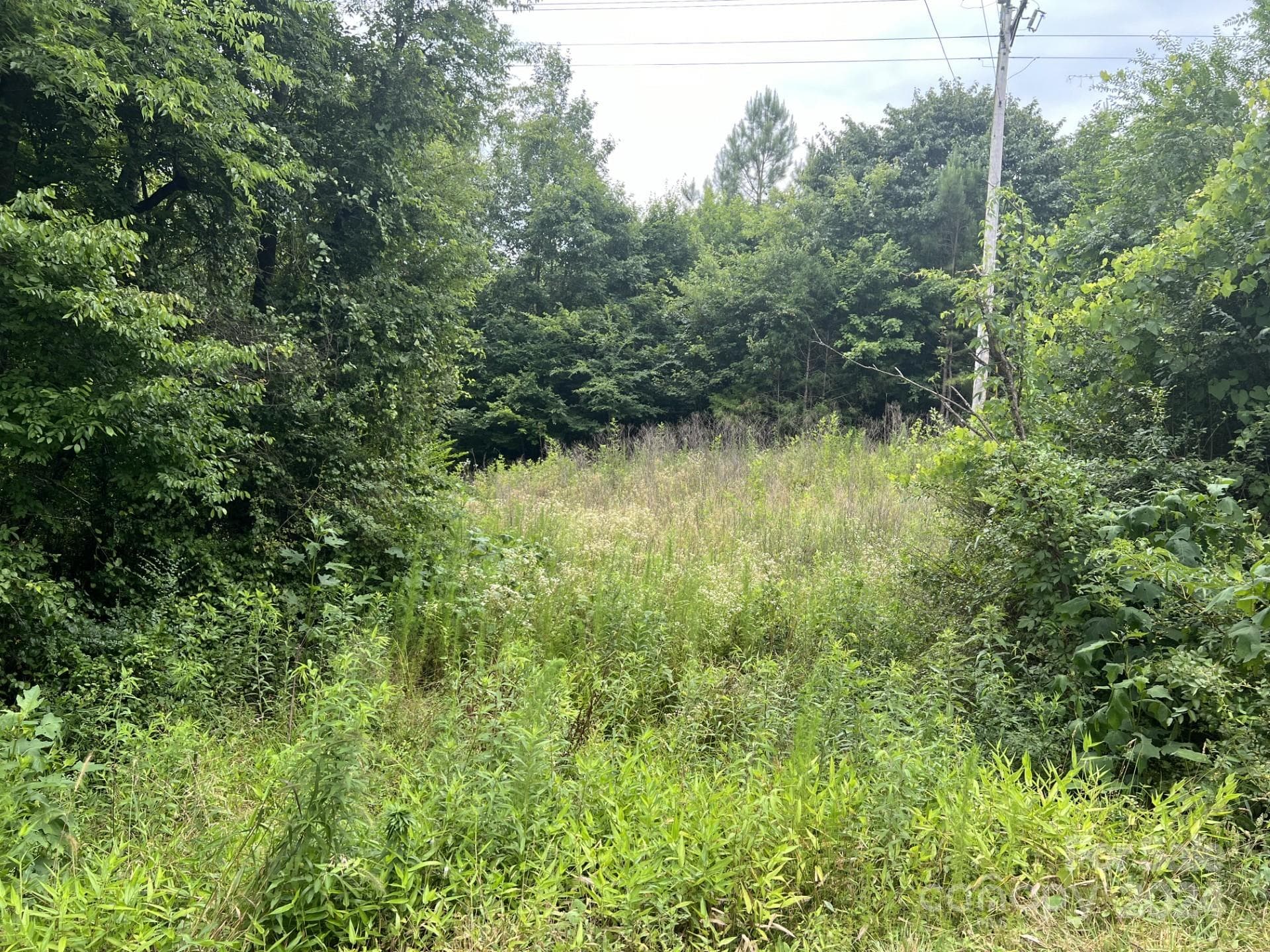 Acreage at 00 Cottonville Road, Norwood, photo 2 of 8