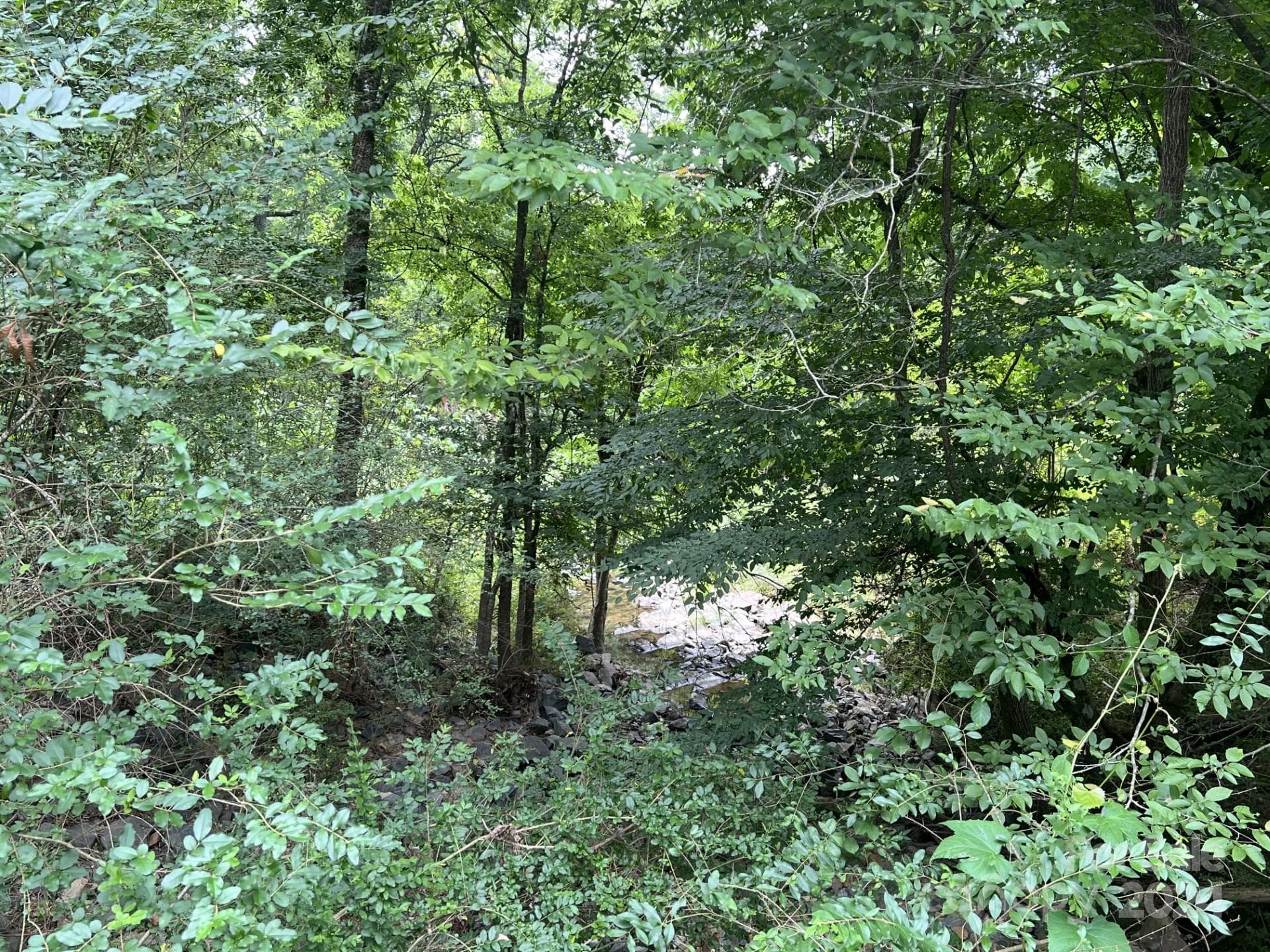 Right side of road frontage. Little Ugly Creek visible from road. - 00 Cottonville Road, Norwood