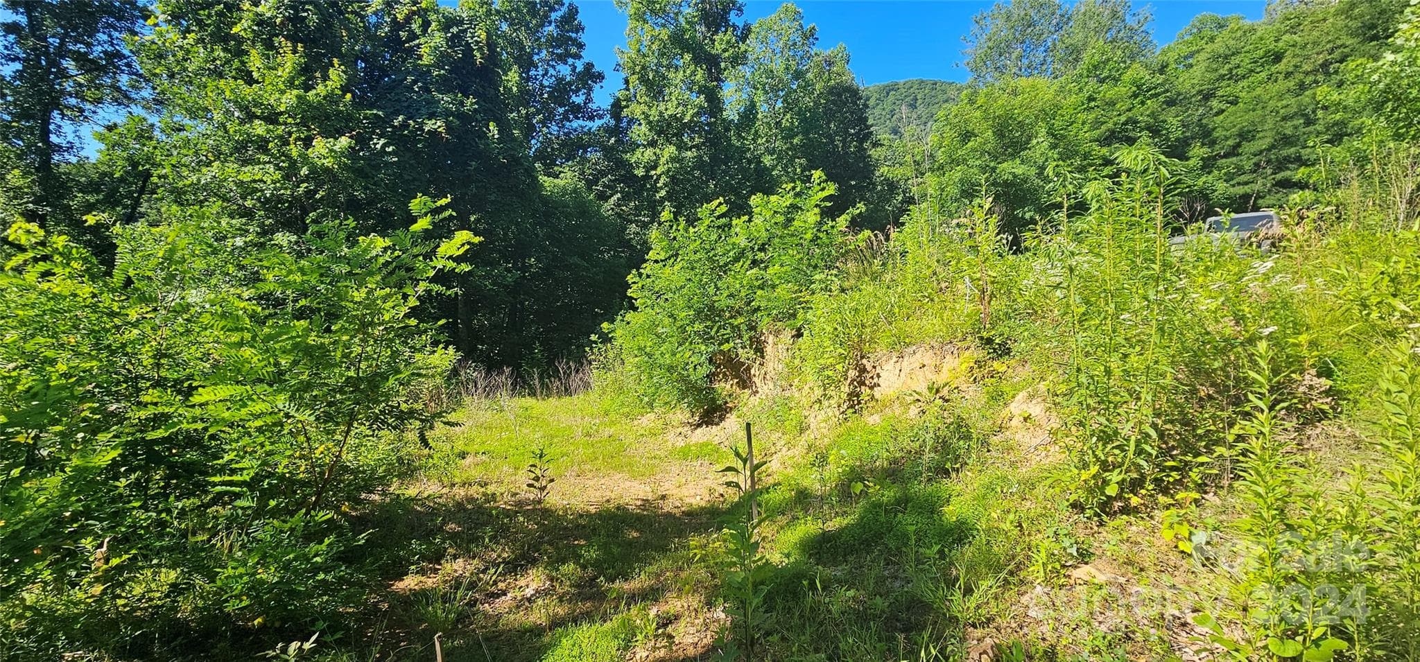 Acreage at Waynesville, photo 8 of 27