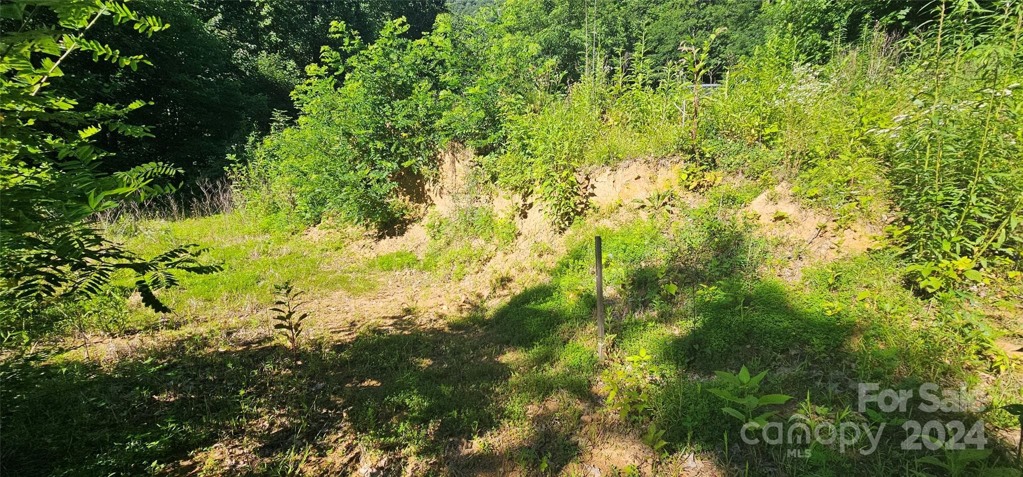 Acreage at Waynesville, photo 11 of 27
