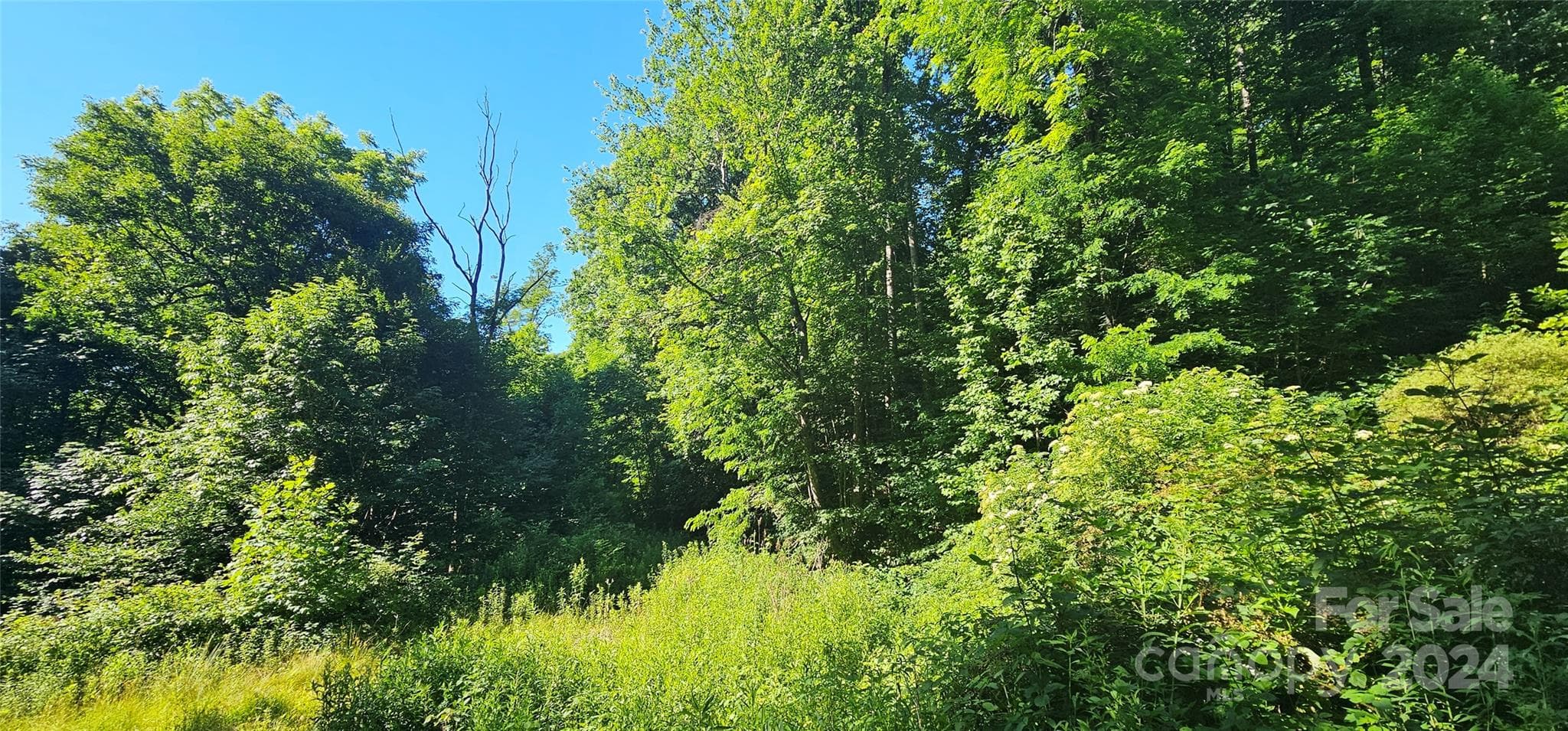 Acreage at Waynesville, photo 17 of 27