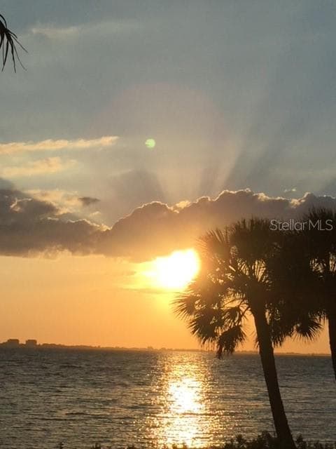 Single Family Residence at 3301 BAY SHORE RD, SARASOTA, photo 54 of 55