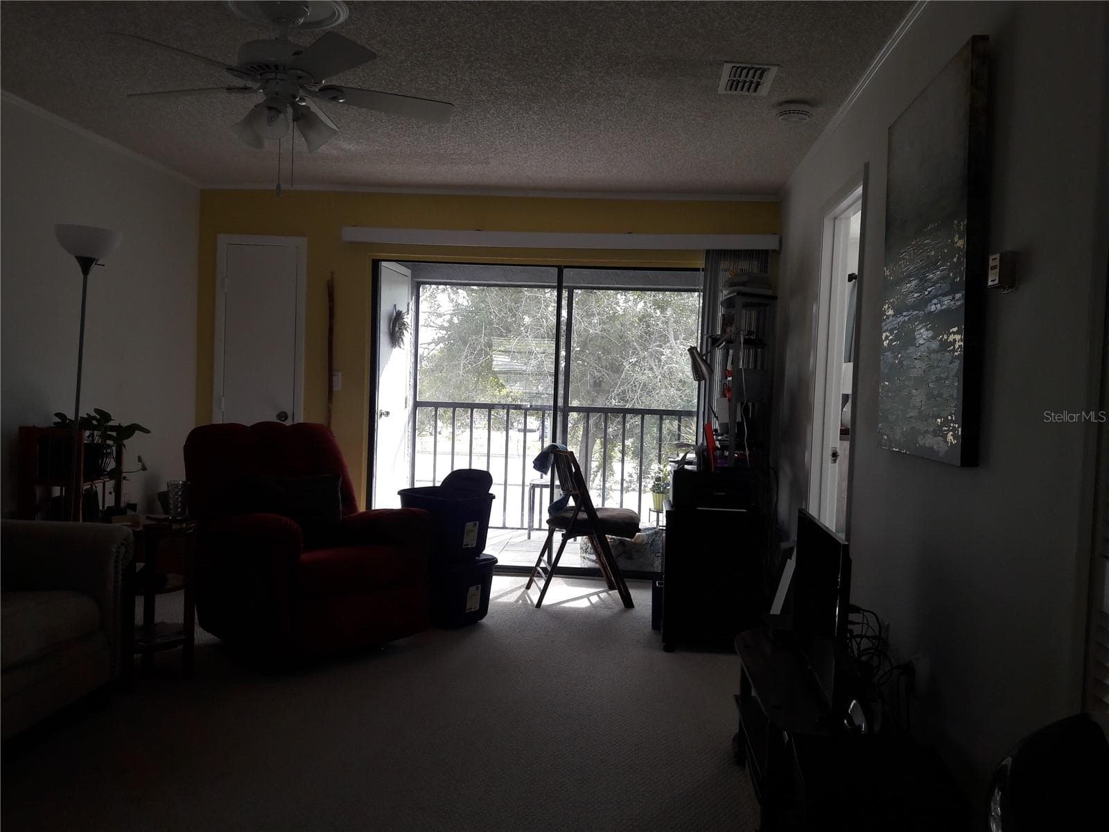 nu paint, screened + tinted balcony - 101 LAKE AVE NE #222, LARGO