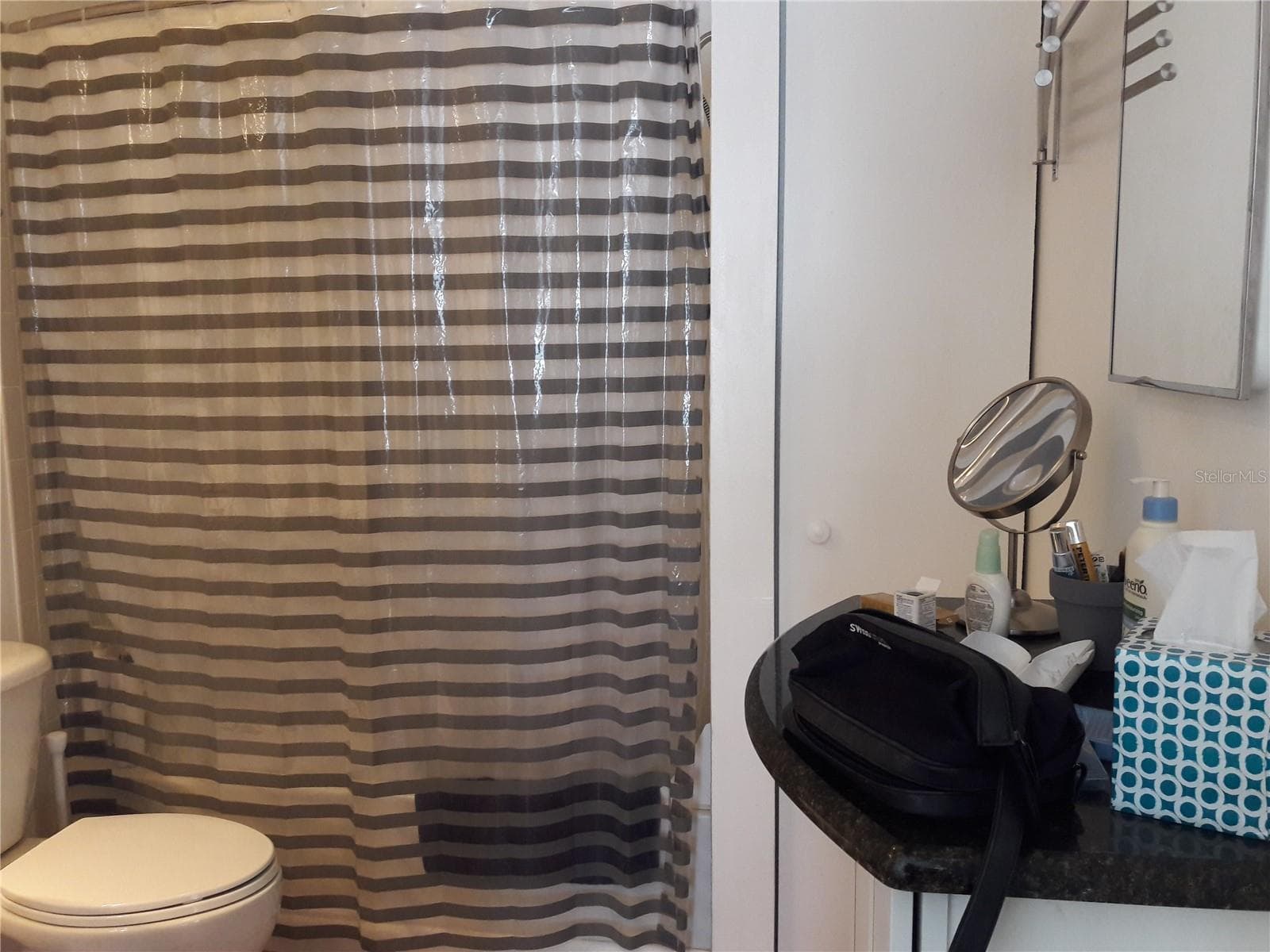 full ensuite bath all new - 101 LAKE AVE NE #222, LARGO