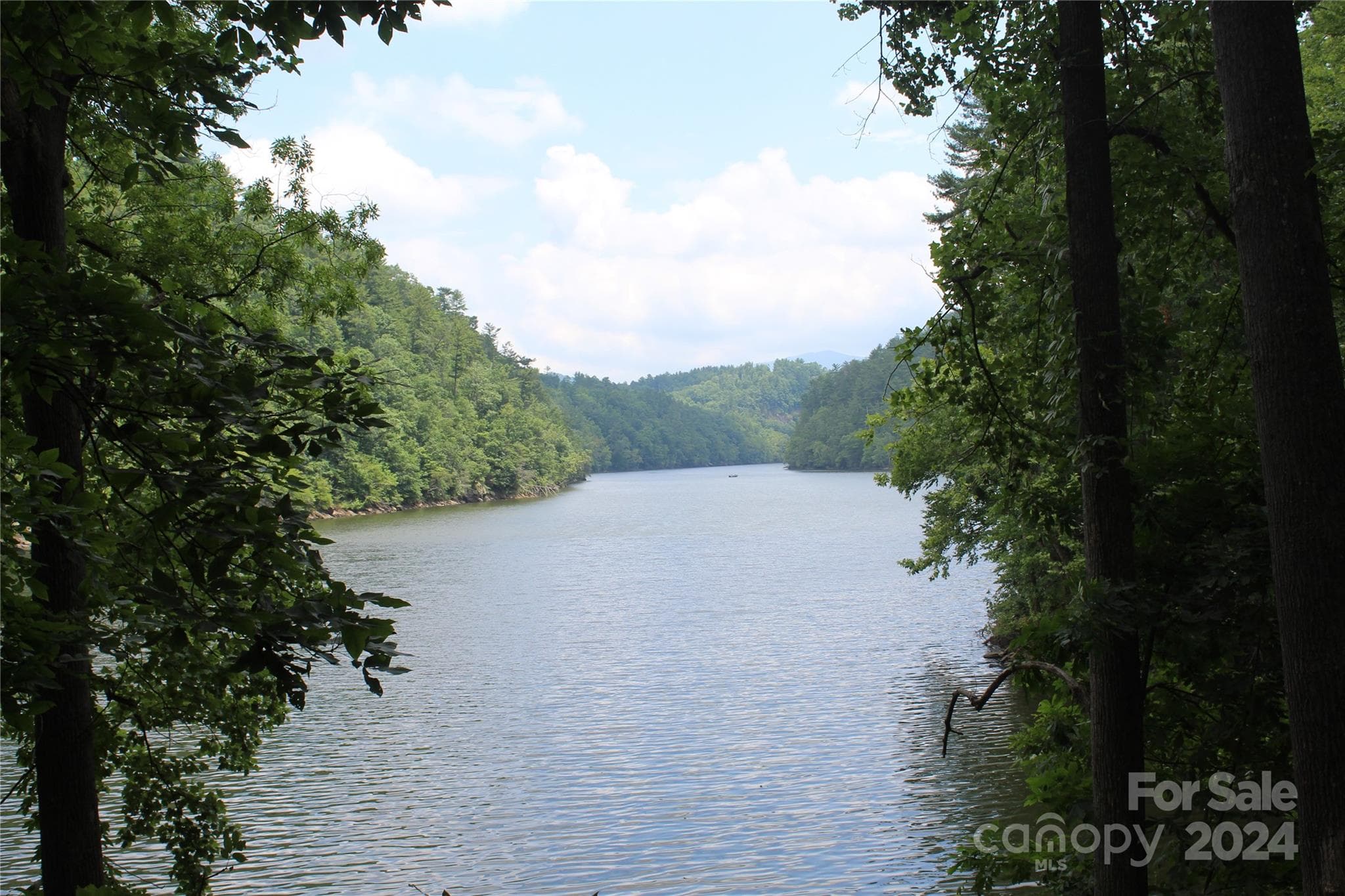 Acreage at Waynesville, photo 2 of 39