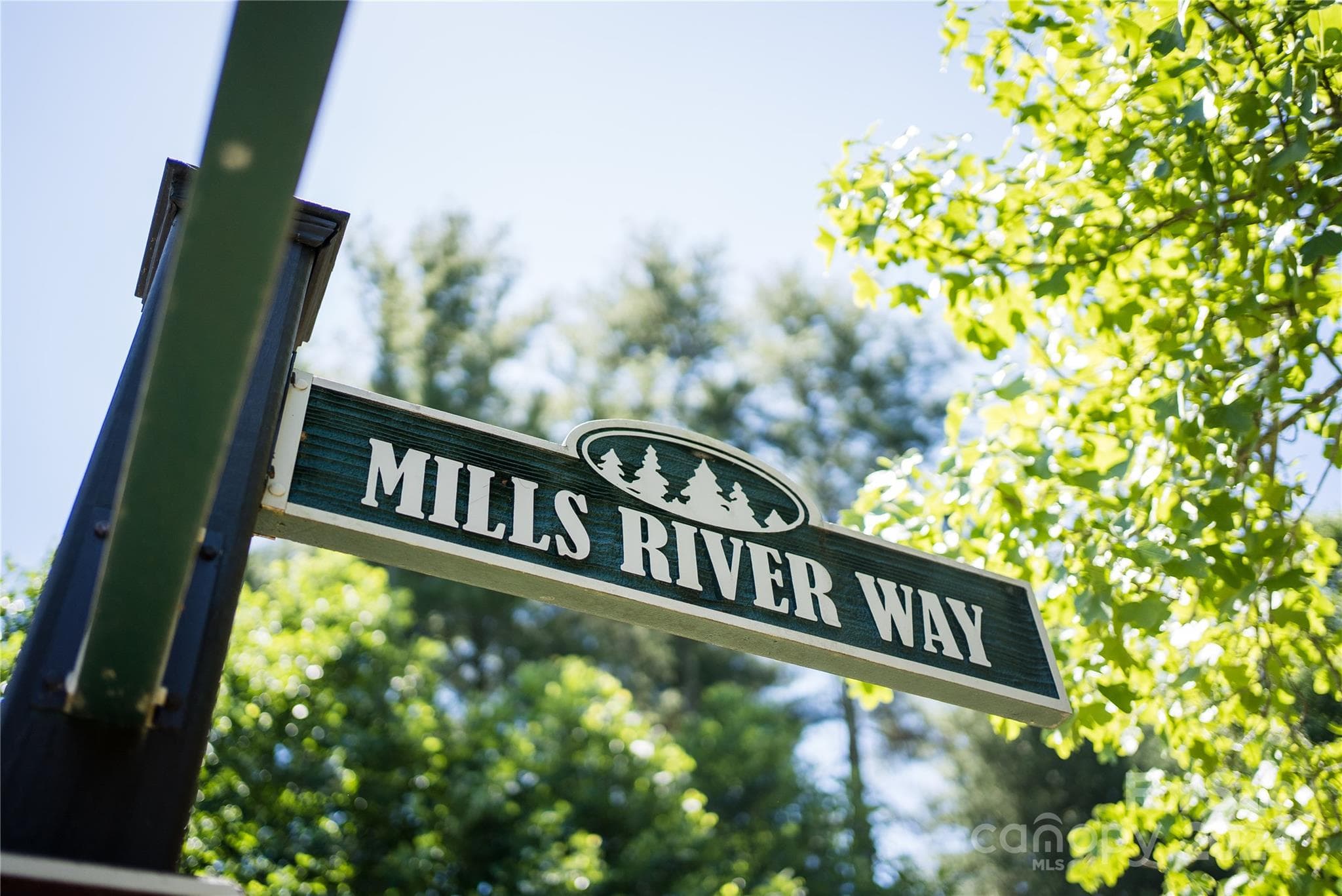 Lot at 1018 Mills River Way, Horse Shoe, photo 2 of 10