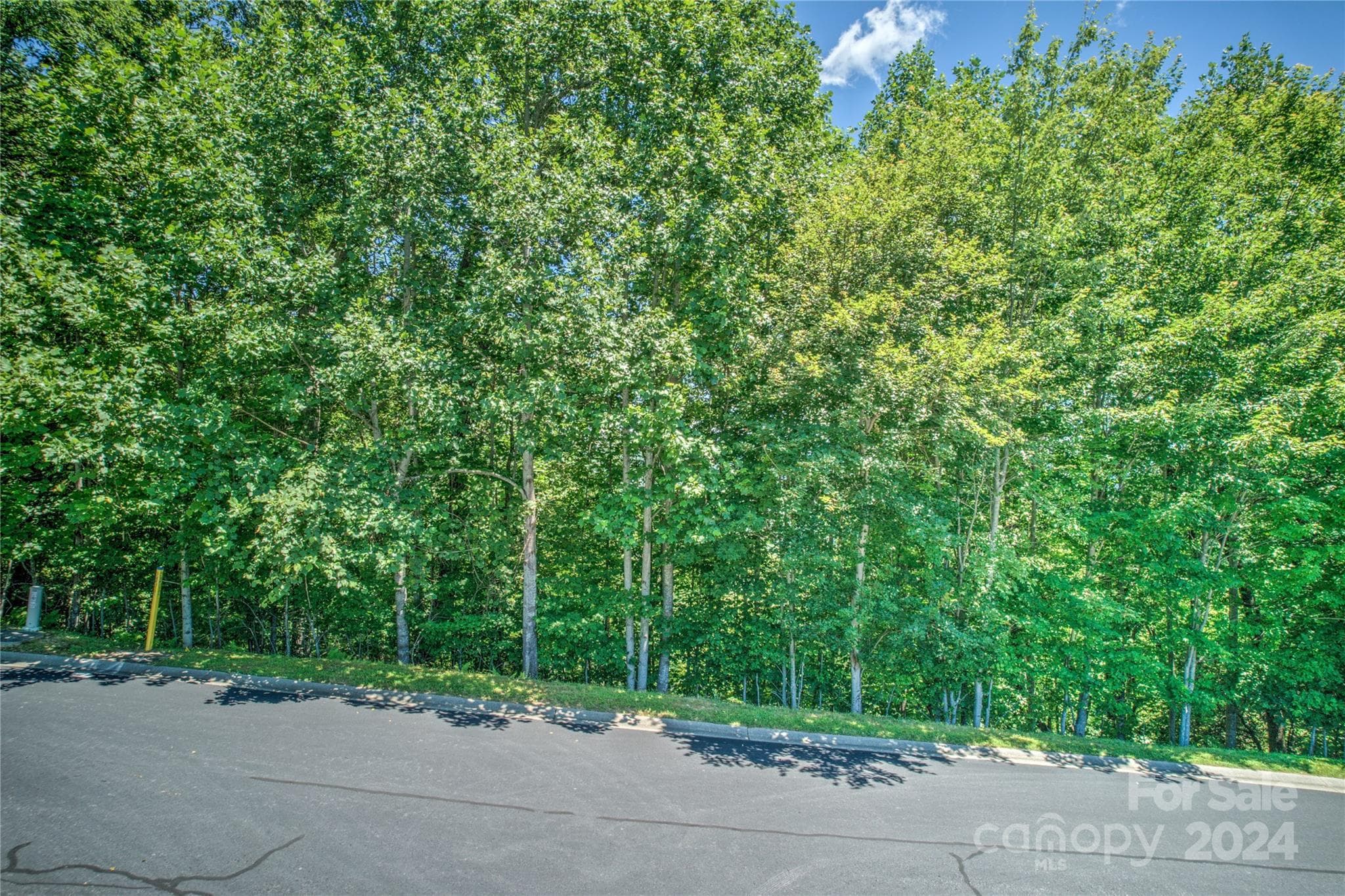 Road frontage - 1018 Mills River Way, Horse Shoe