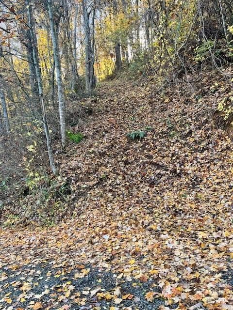 Path from steps lead potential homesite - Waynesville