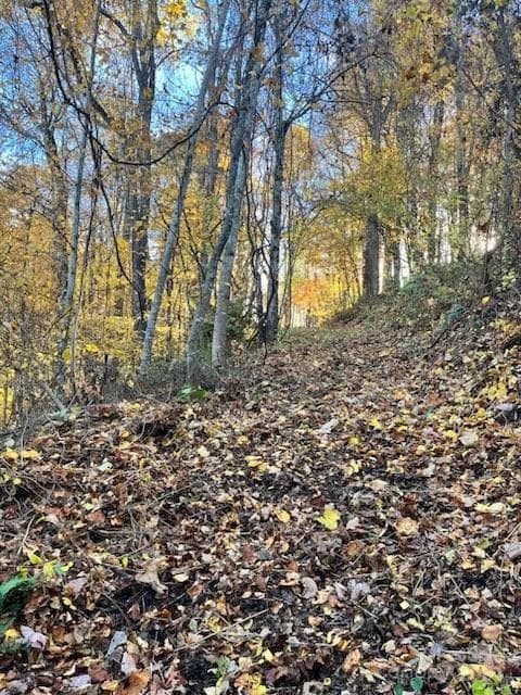 Private homesite would be on right at end of cleared path - Waynesville