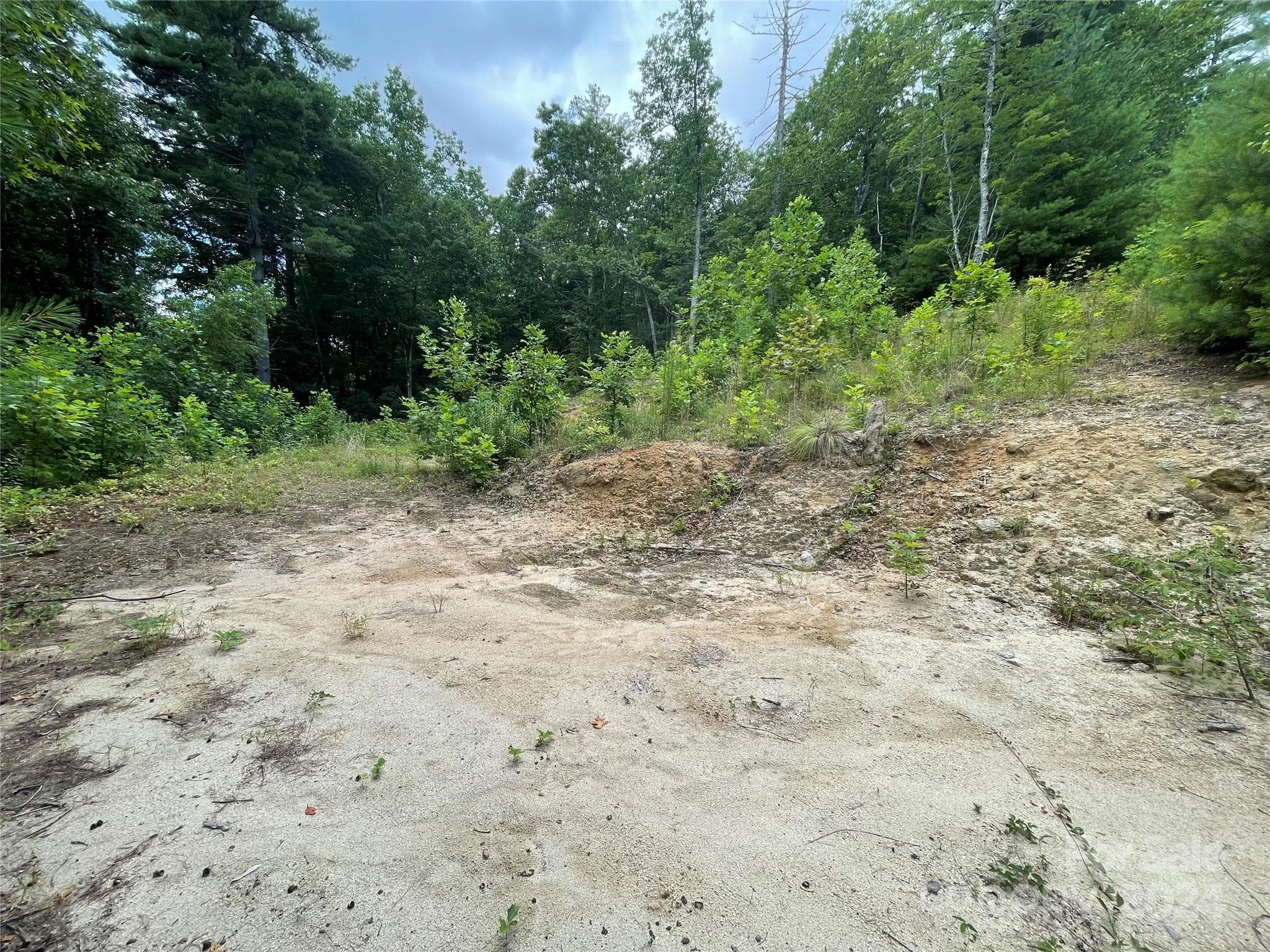 Lot at 00 Willow Run Lane, Zirconia, photo 6 of 19