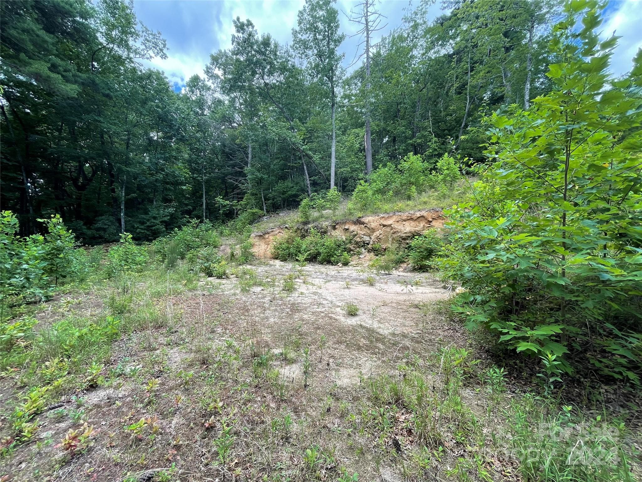 Lot at 00 Willow Run Lane, Zirconia, photo 7 of 19