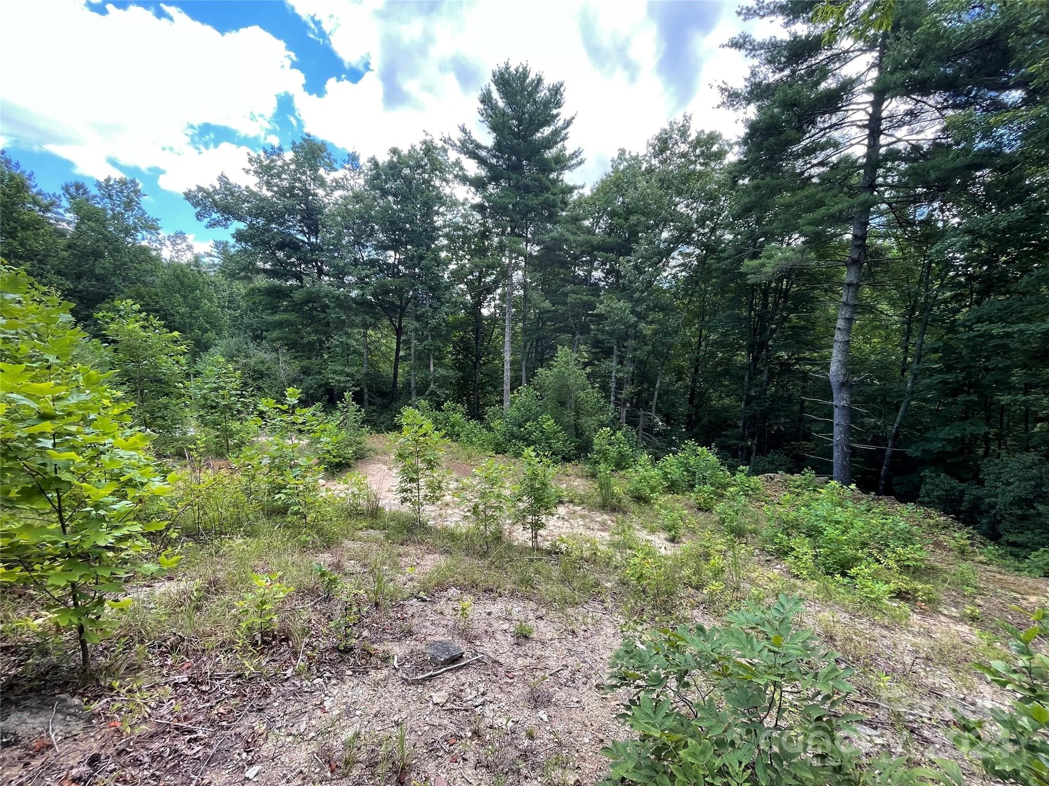 Lot at 00 Willow Run Lane, Zirconia, photo 8 of 19