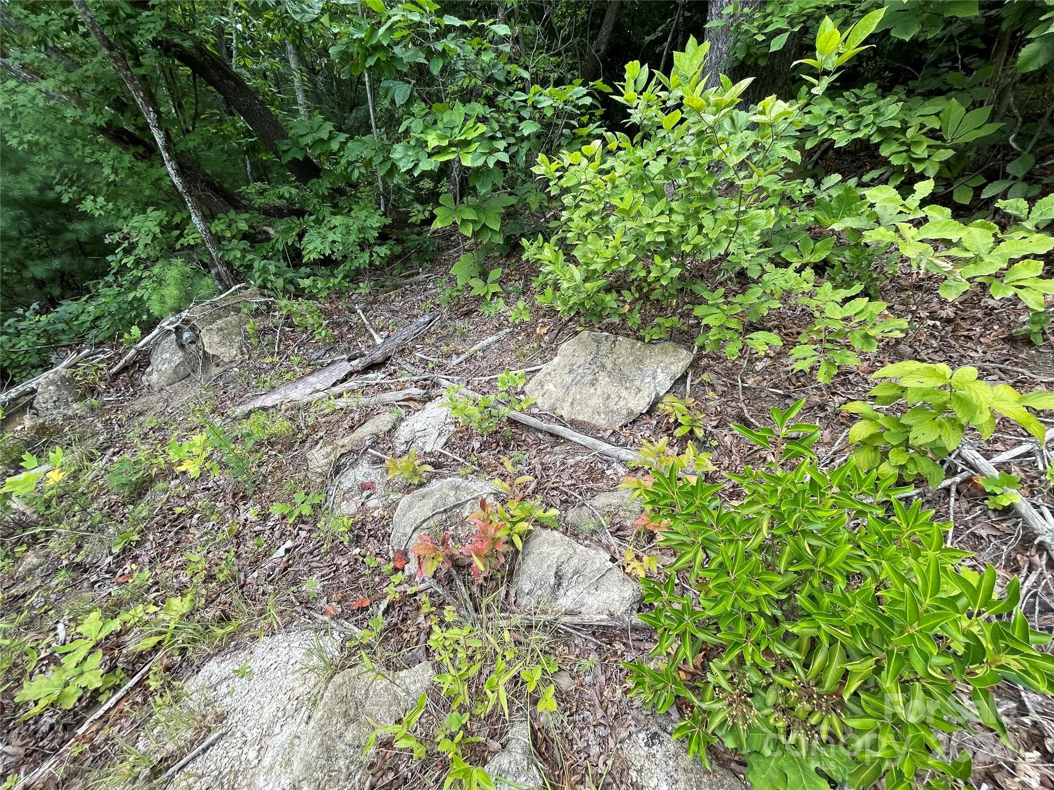 Lot at 00 Willow Run Lane, Zirconia, photo 9 of 19