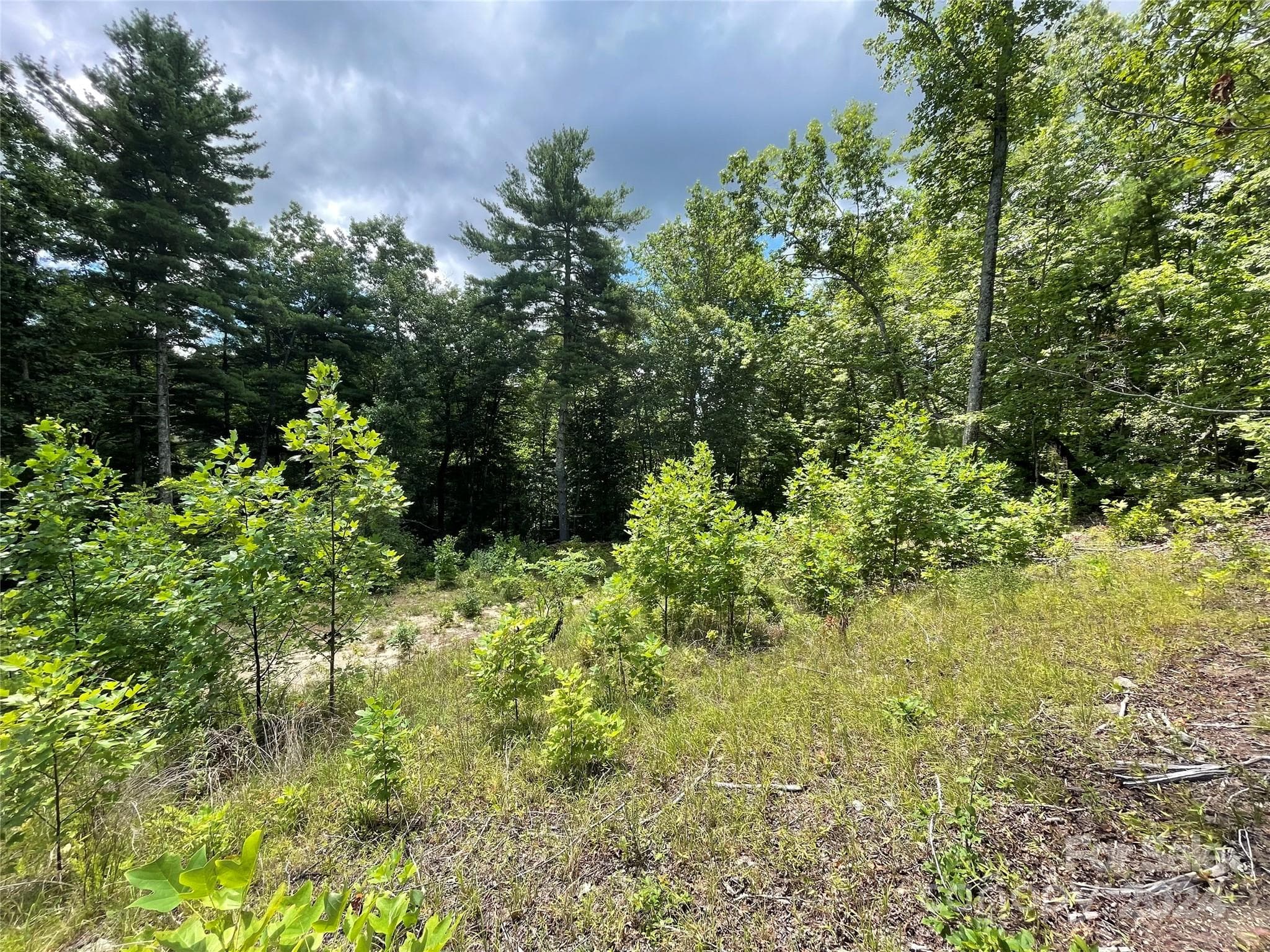 Lot at 00 Willow Run Lane, Zirconia, photo 10 of 19