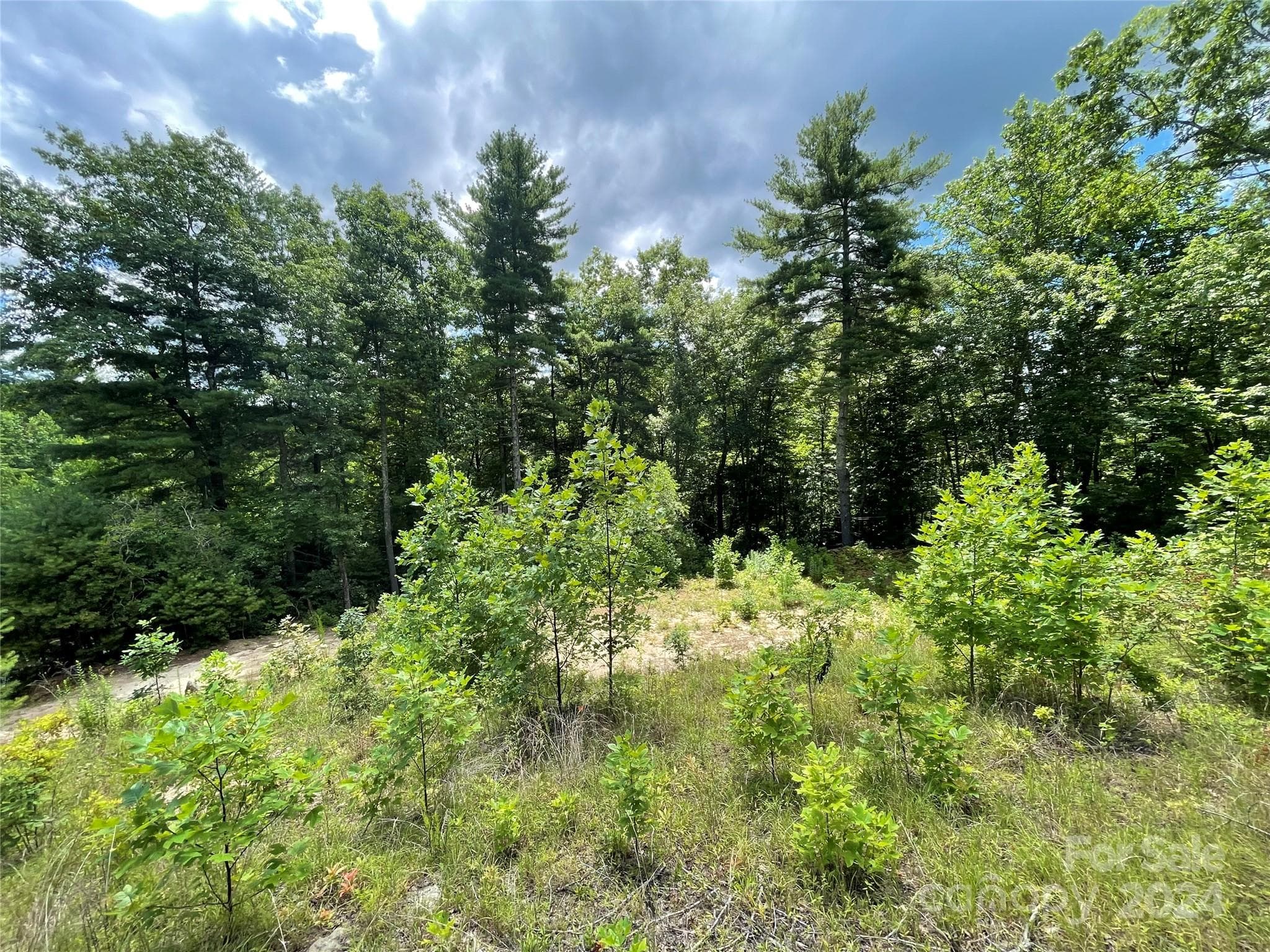 Lot at 00 Willow Run Lane, Zirconia, photo 11 of 19