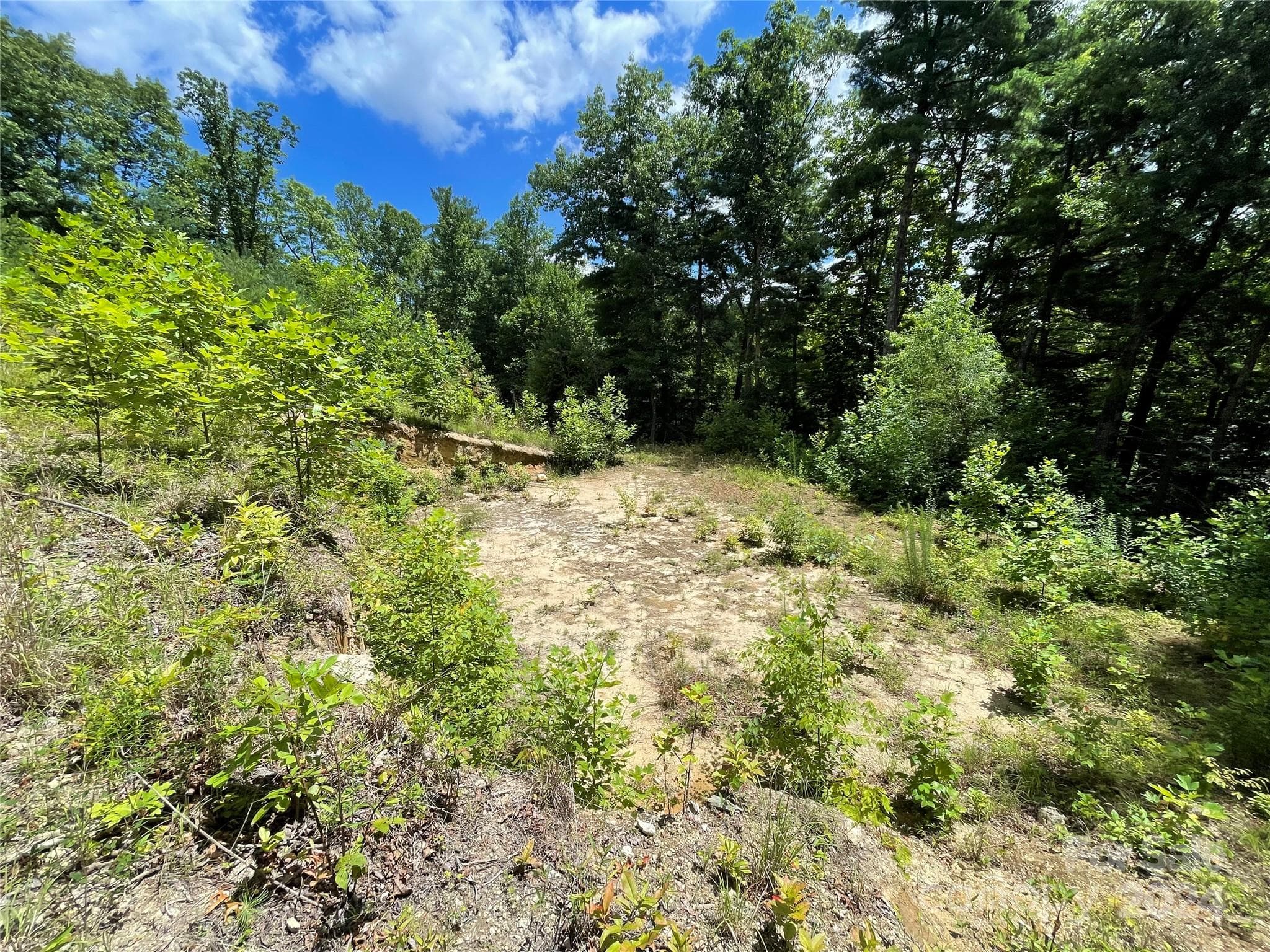 Lot at 00 Willow Run Lane, Zirconia, photo 12 of 19