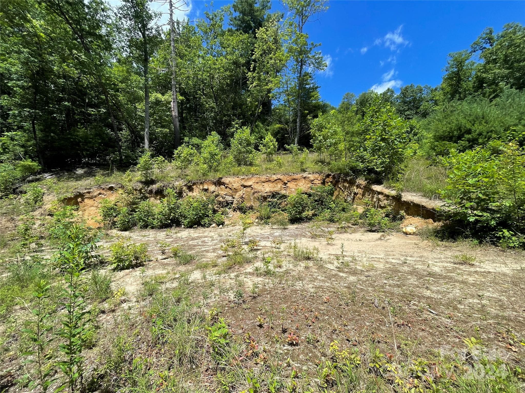 Lot at 00 Willow Run Lane, Zirconia, photo 13 of 19