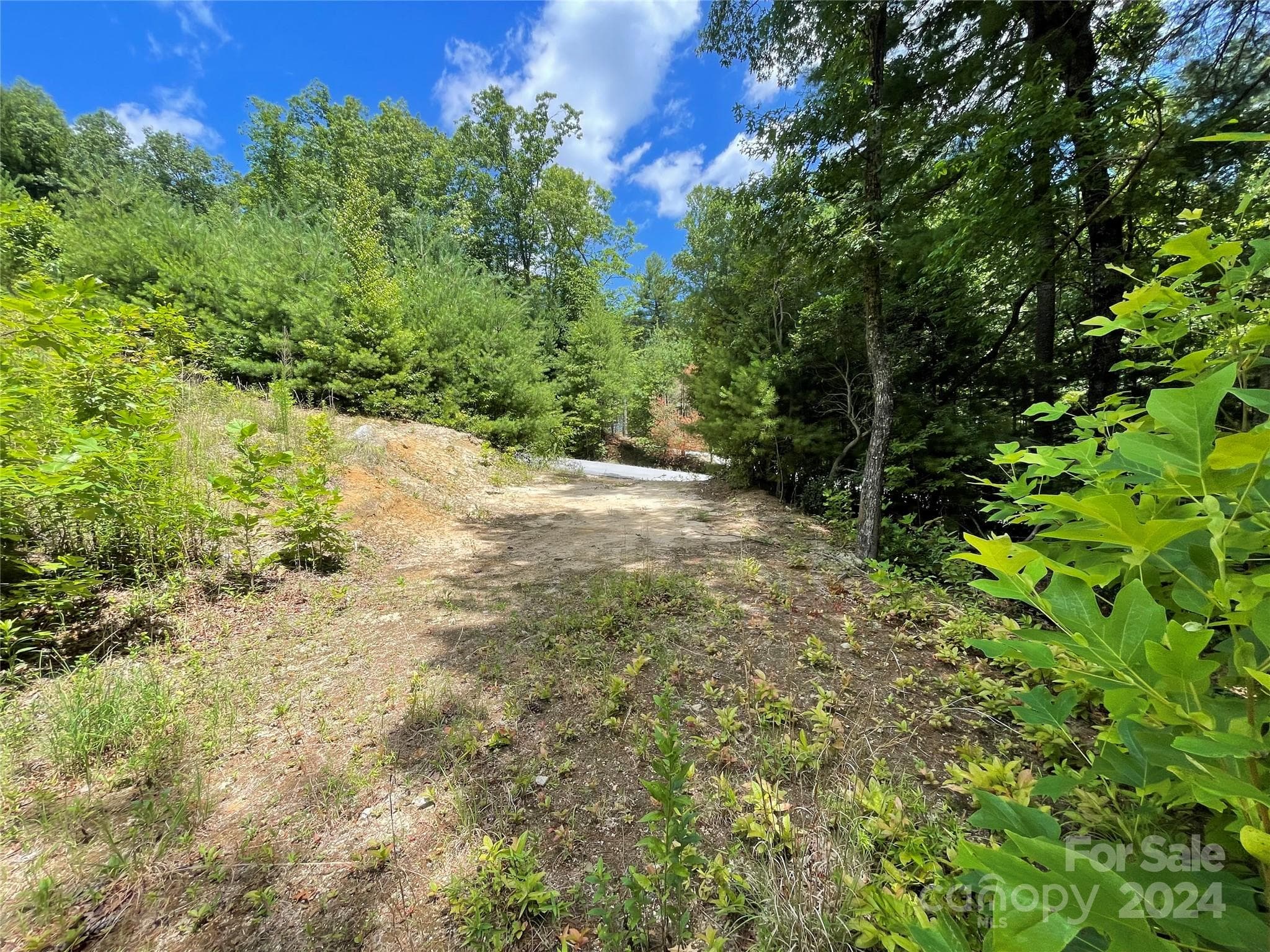 Lot at 00 Willow Run Lane, Zirconia, photo 14 of 19