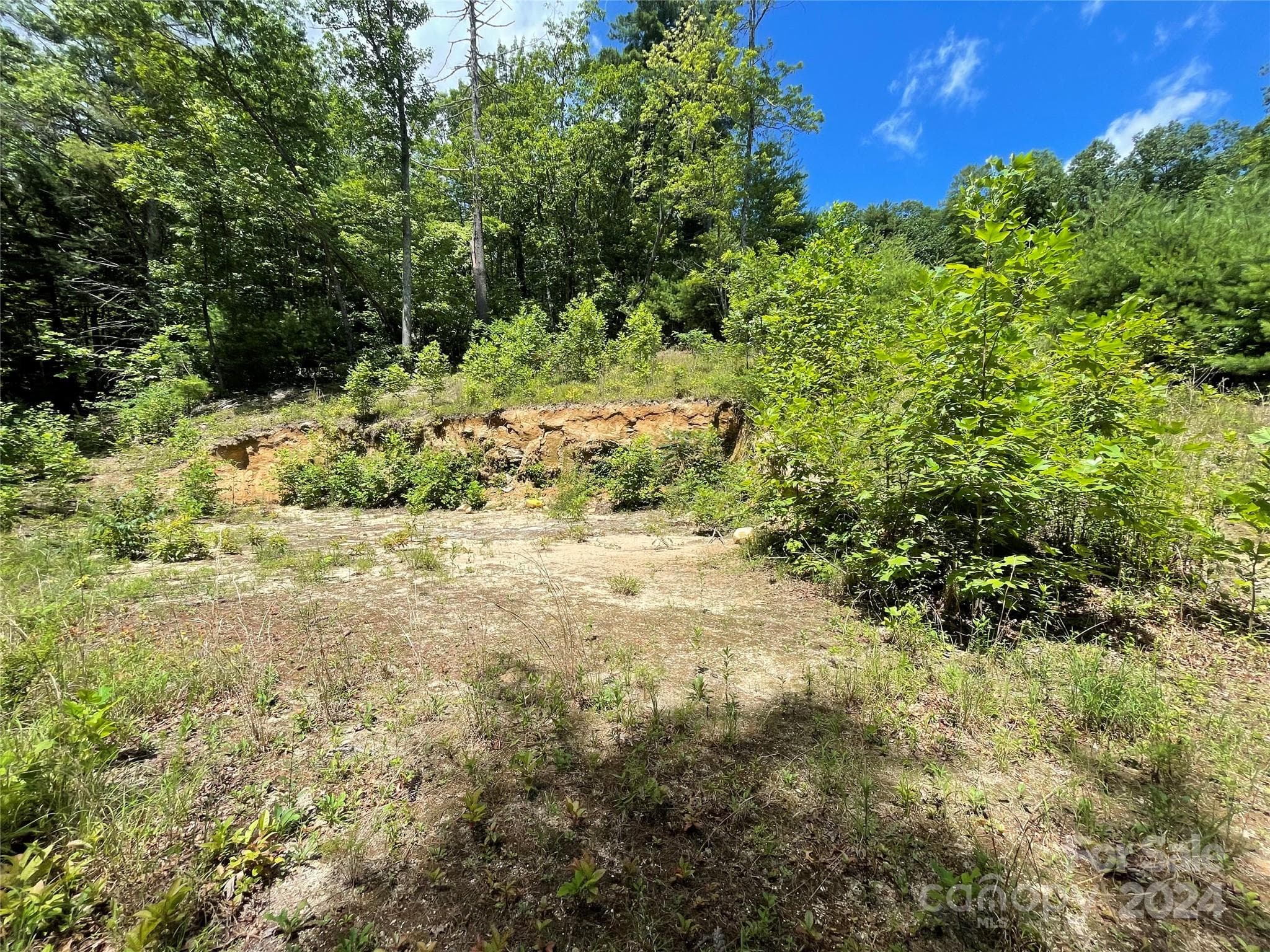 Lot at 00 Willow Run Lane, Zirconia, photo 15 of 19