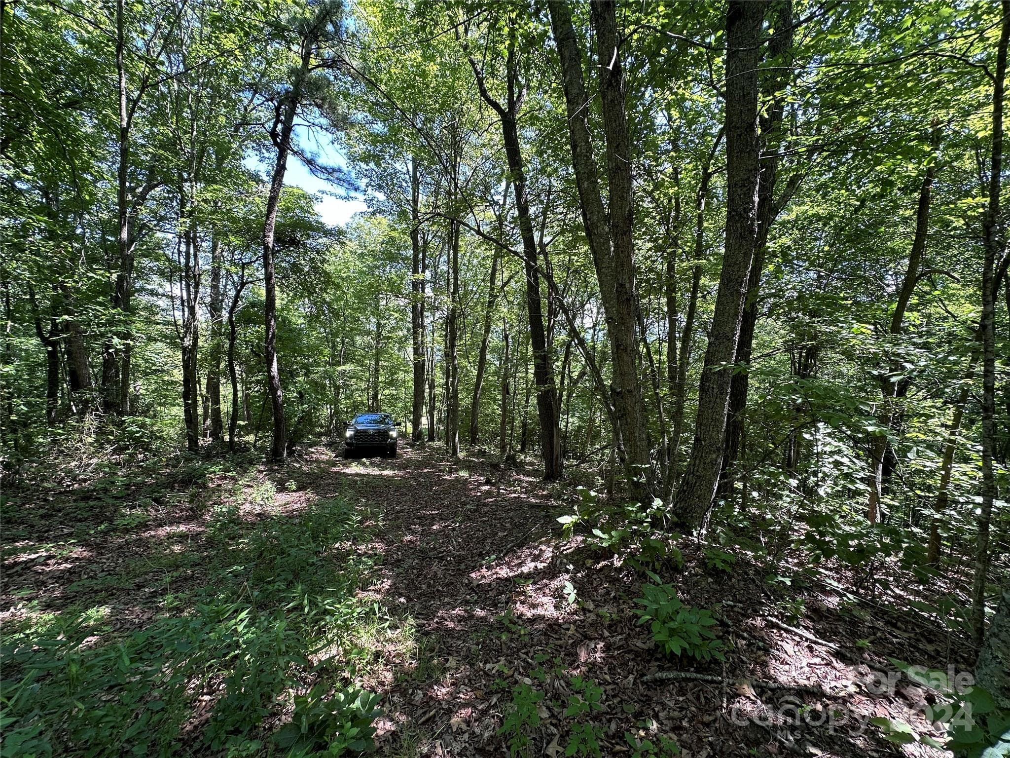Acreage at 000 Destiny Farms Road, Leicester, photo 21 of 48