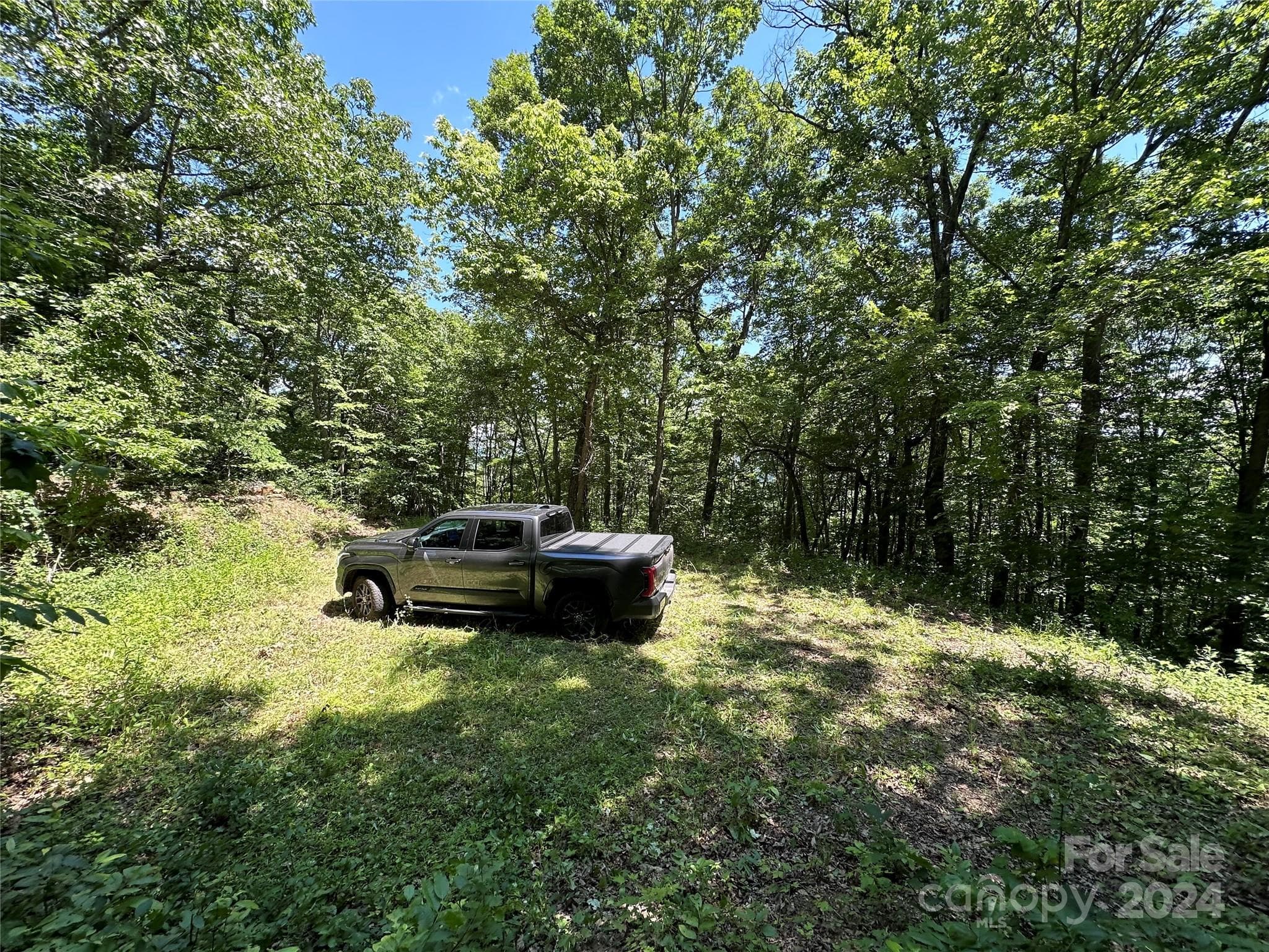 Acreage at 000 Destiny Farms Road, Leicester, photo 25 of 48