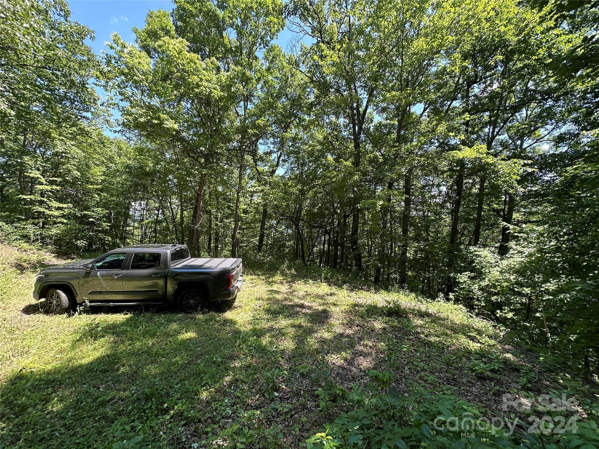 Acreage at 000 Destiny Farms Road, Leicester, photo 26 of 48