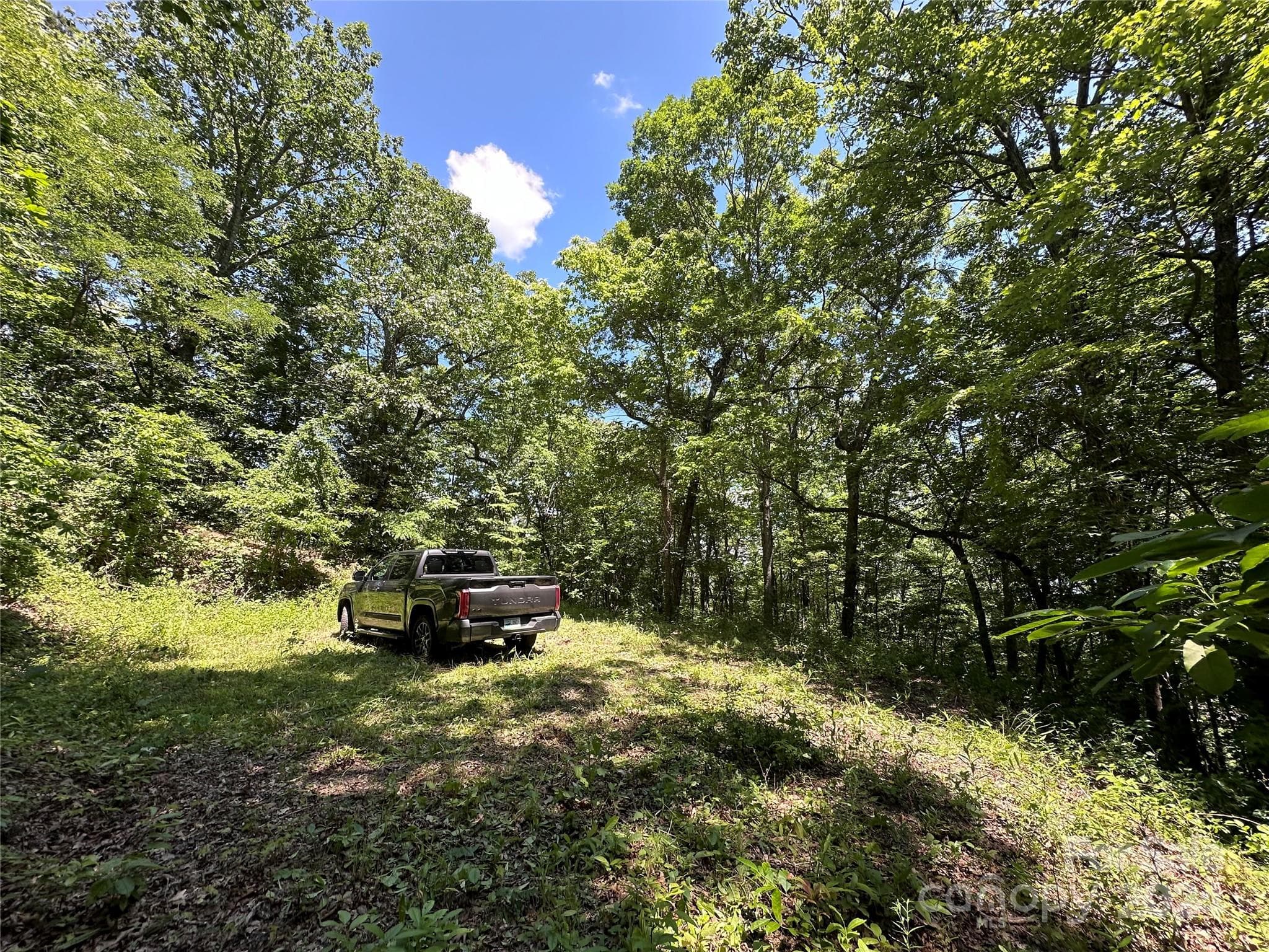 Acreage at 000 Destiny Farms Road, Leicester, photo 28 of 48