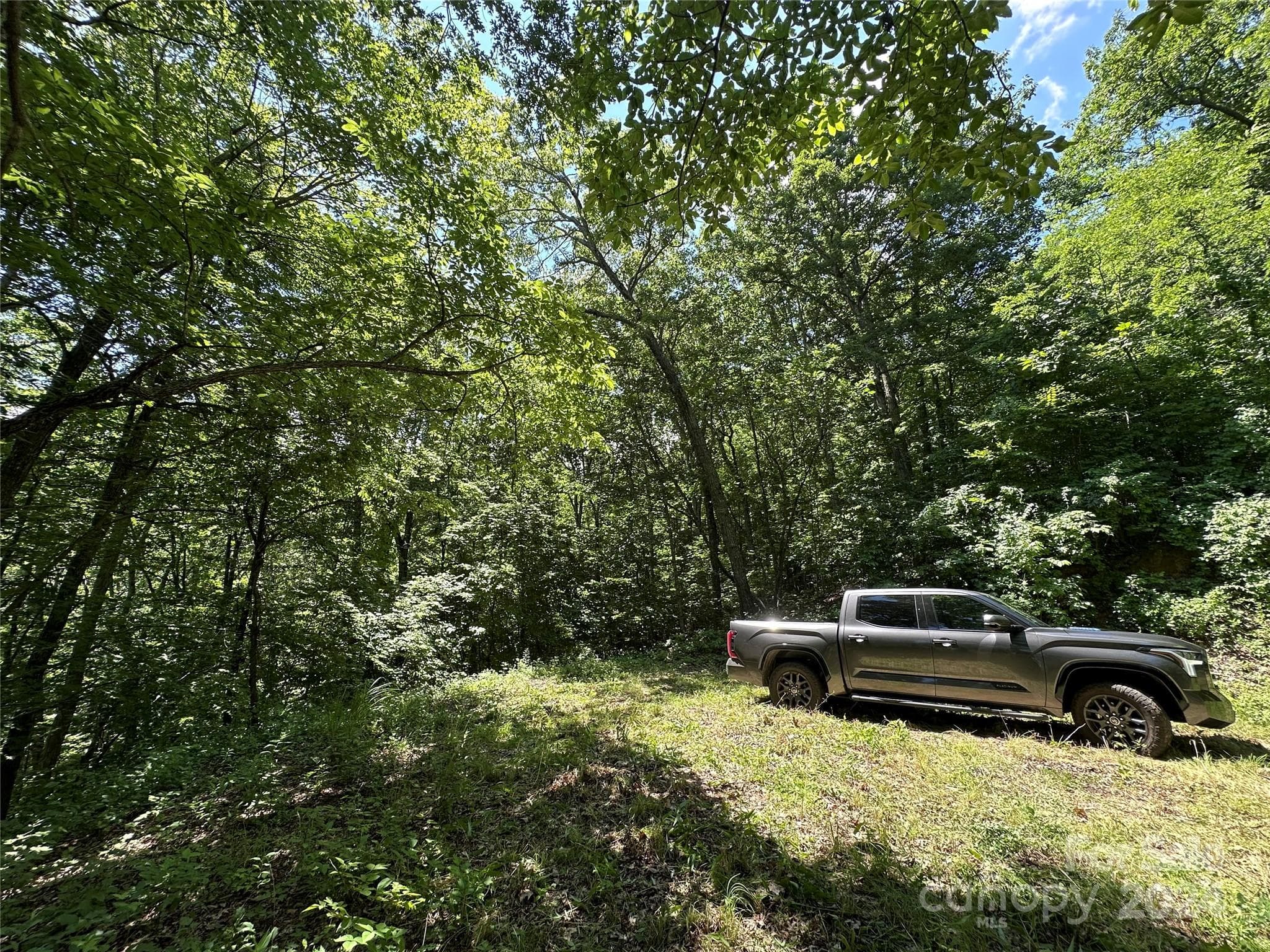 Acreage at 000 Destiny Farms Road, Leicester, photo 31 of 48