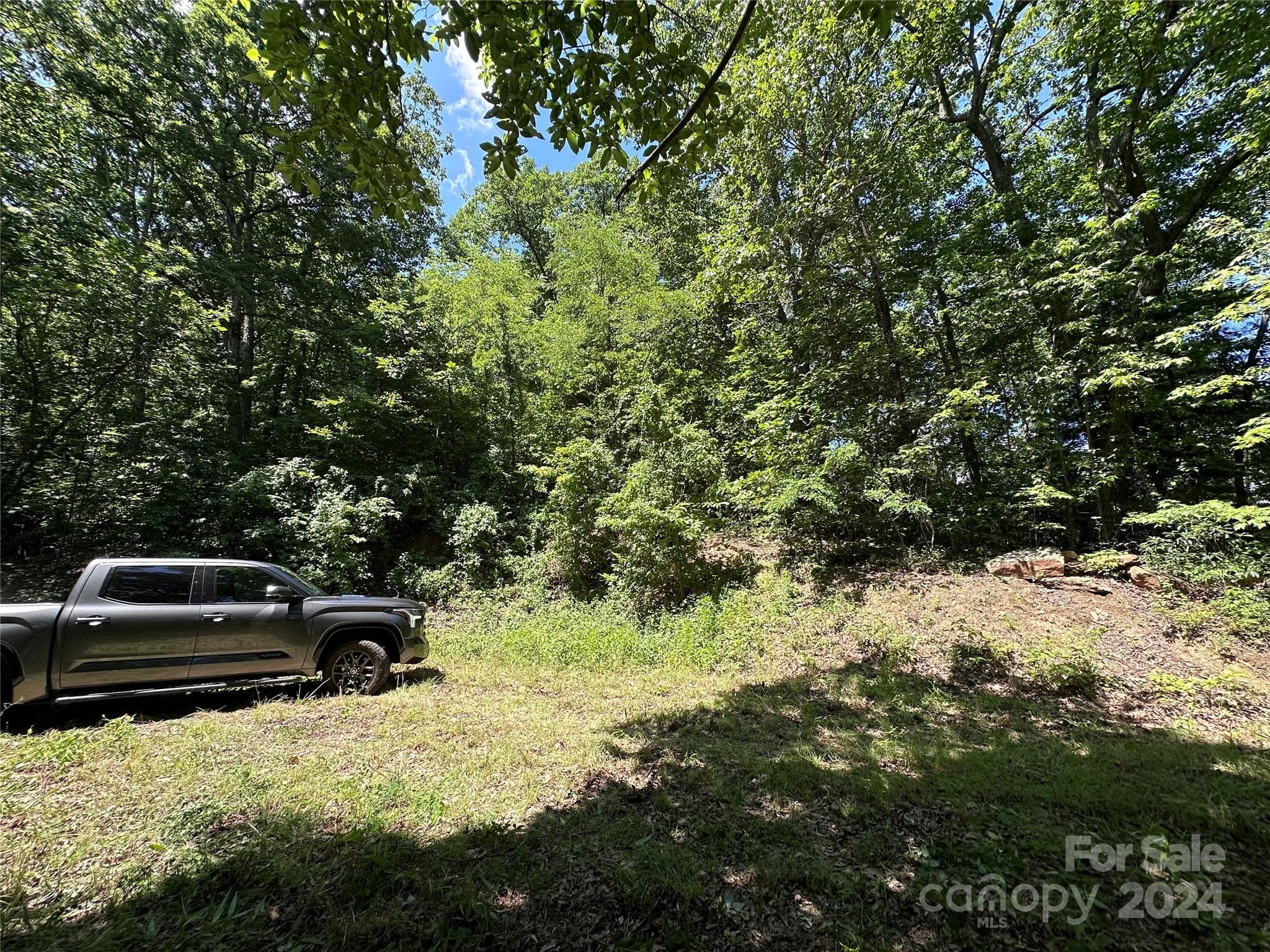Acreage at 000 Destiny Farms Road, Leicester, photo 32 of 48