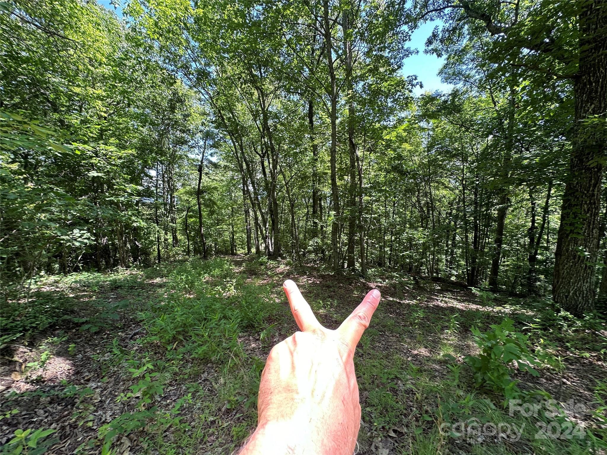 Acreage at 000 Destiny Farms Road, Leicester, photo 34 of 48