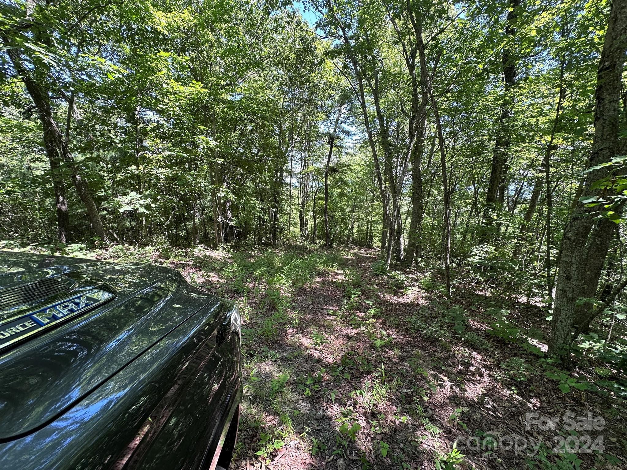 Acreage at 000 Destiny Farms Road, Leicester, photo 48 of 48