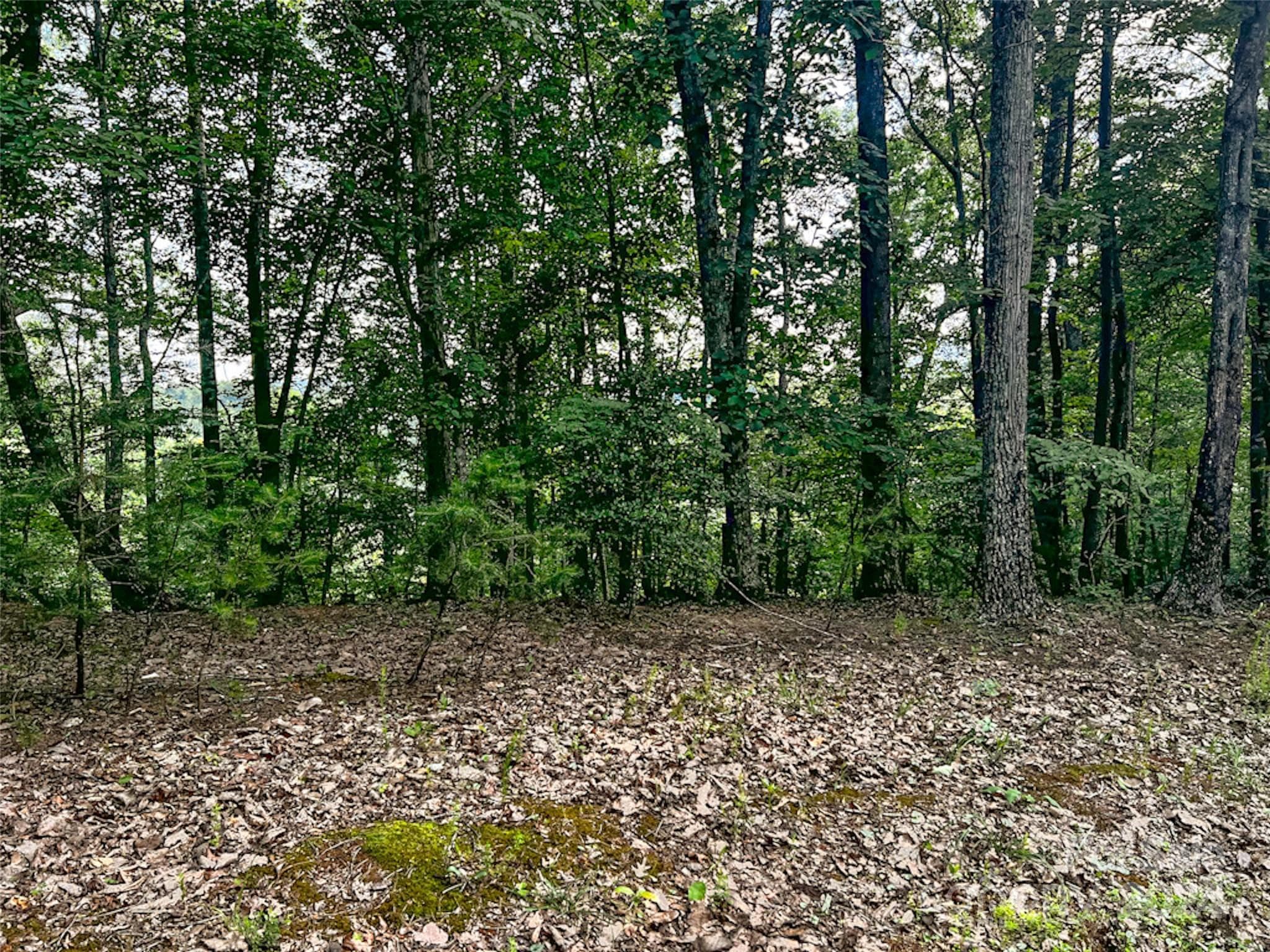 Lot at Lake Lure, photo 2 of 11