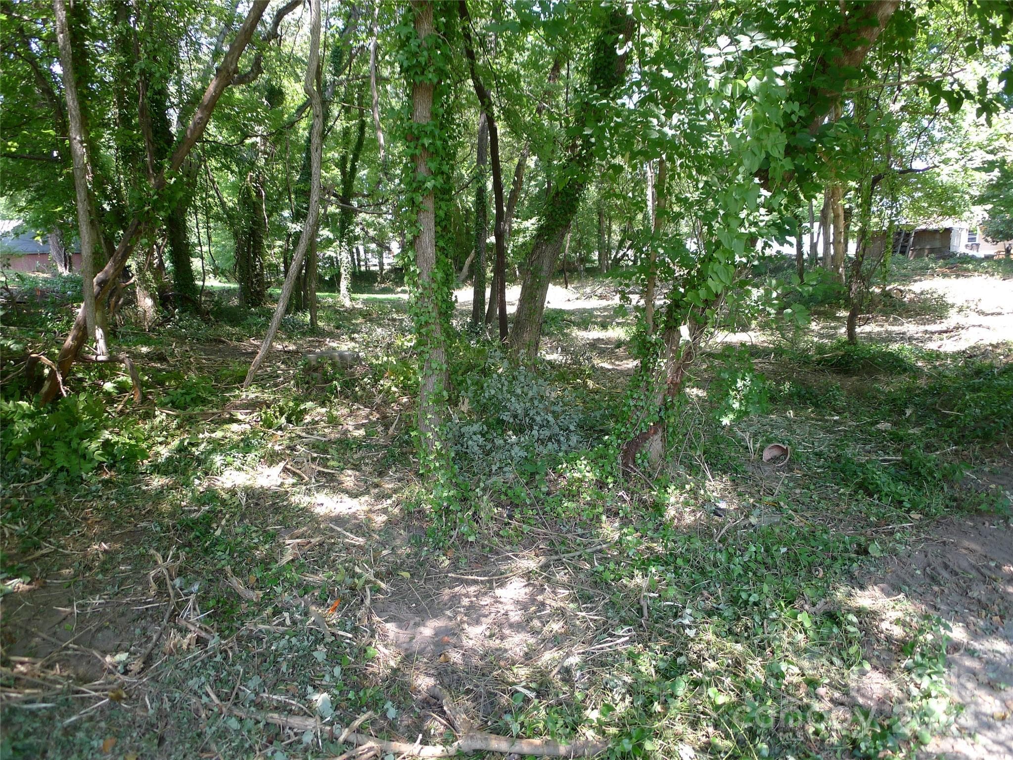 Lot at 351 Honeysuckle Street, Mocksville, photo 2 of 8